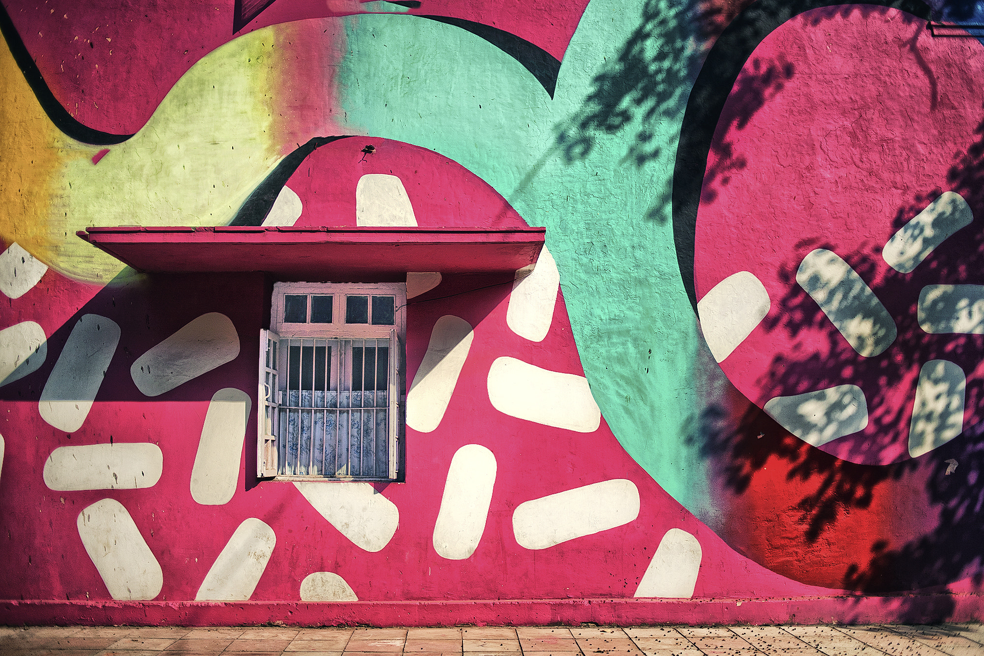 Canon EOS 5D + Canon EF 35mm F2 sample photo. Fascinating colors - wall art photography