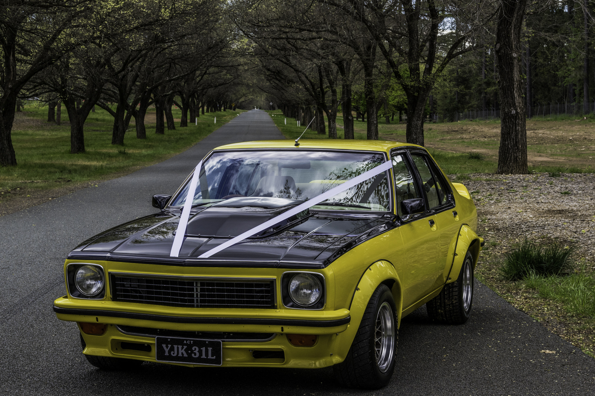 Pentax smc DA* 16-50mm F2.8 ED AL (IF) SDM sample photo. Yellow torana photography