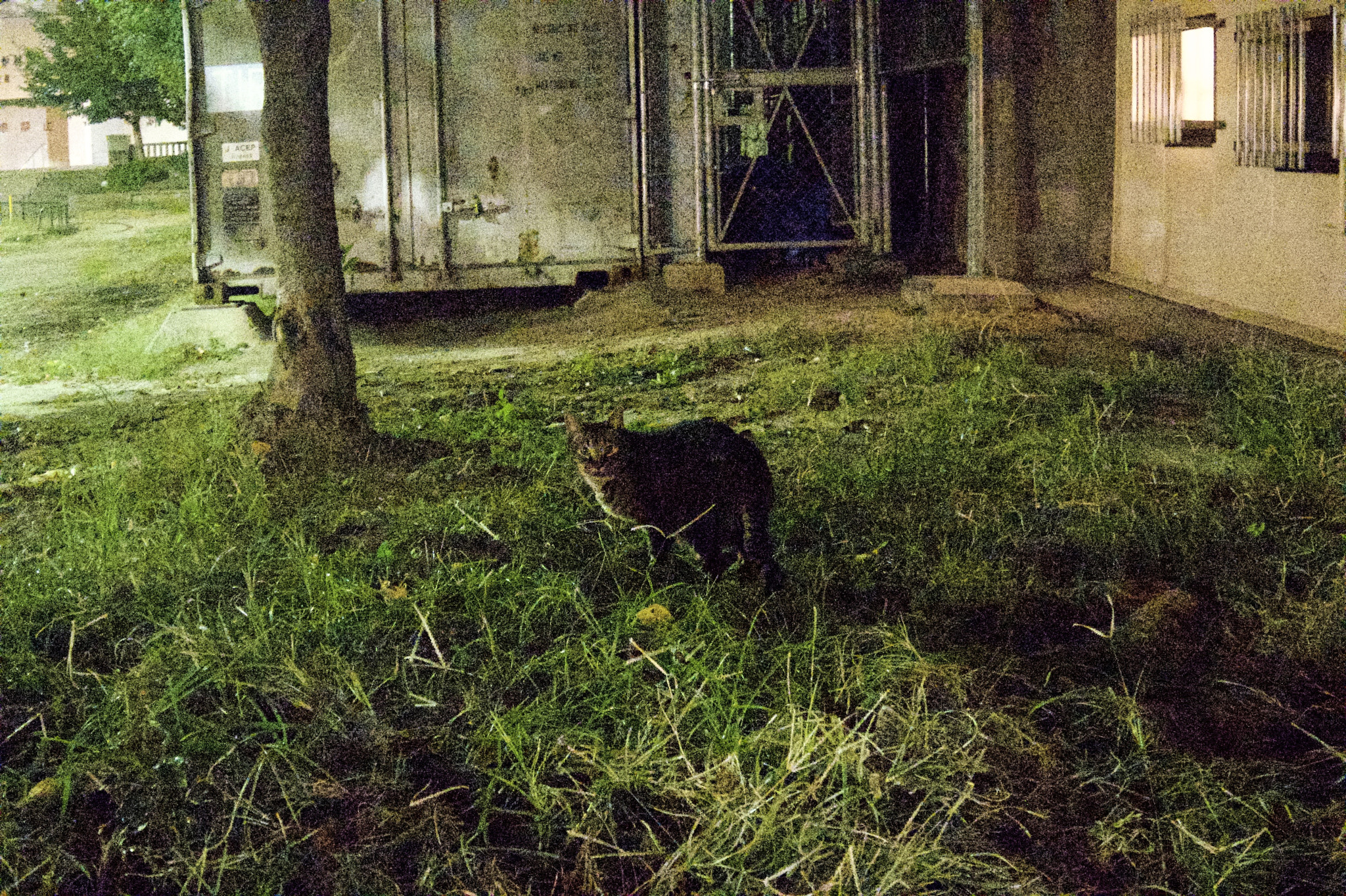 Pentax Q7 sample photo. 3tyoume photography