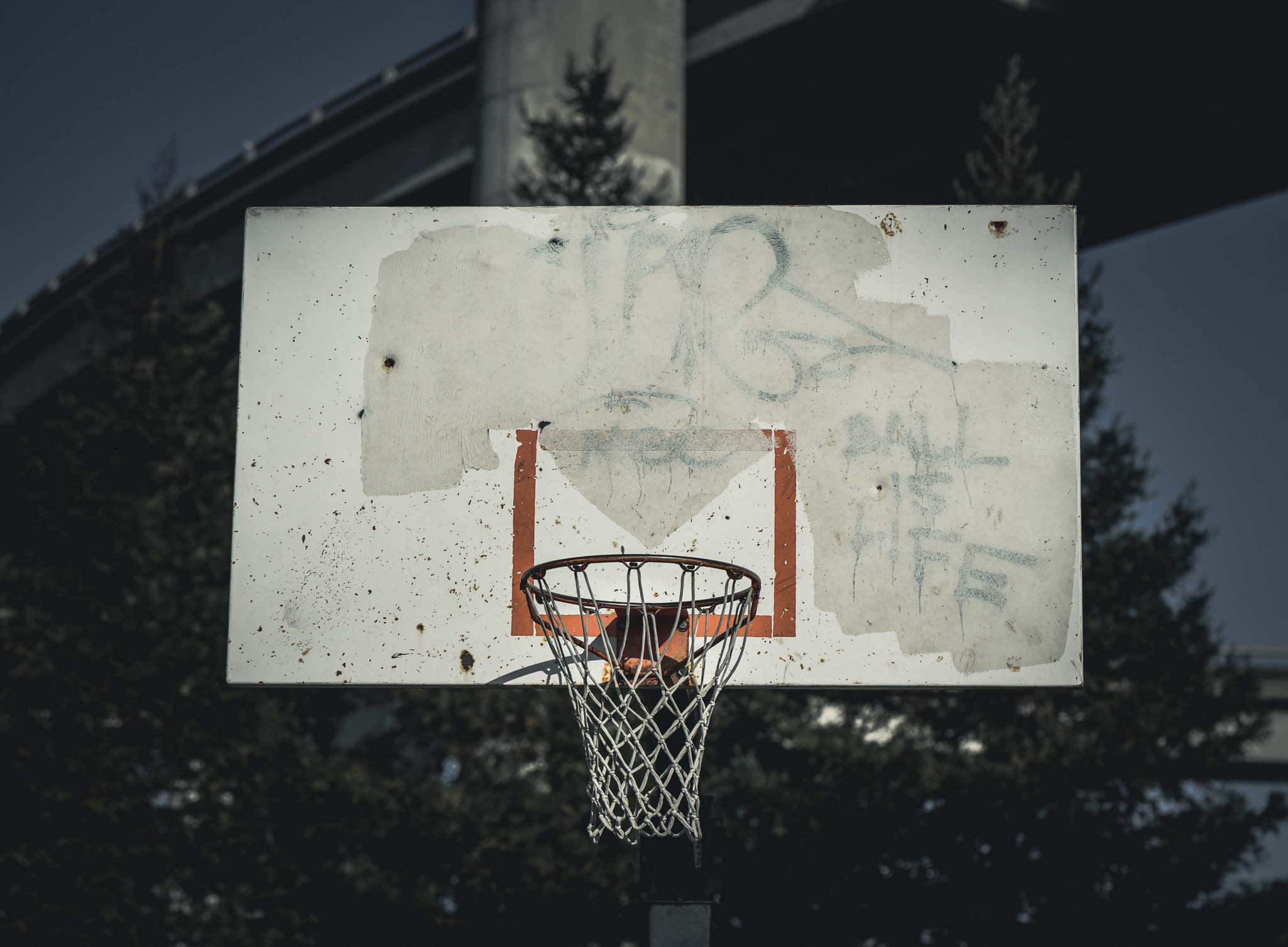Nikon D750 + Sigma 105mm F2.8 EX DG Macro sample photo. The mantra of a baller photography