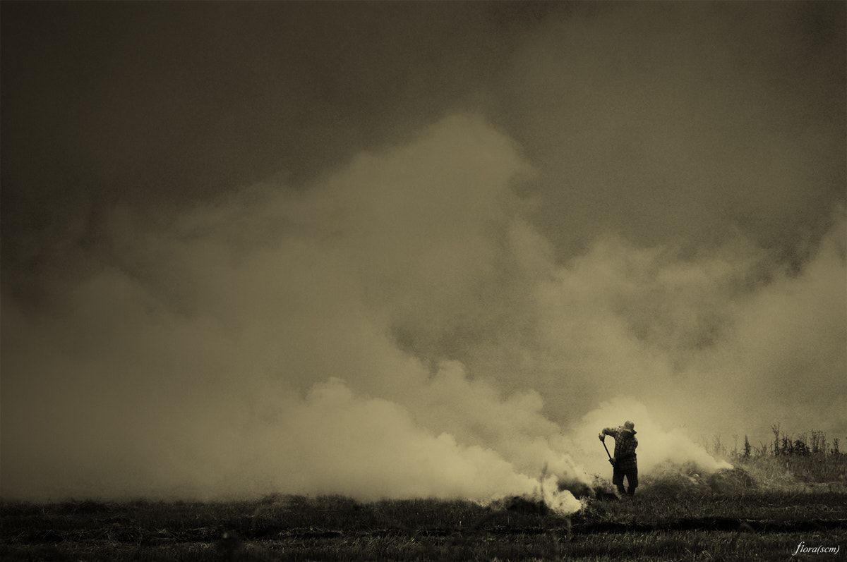 AF Zoom-Nikkor 28-105mm f/3.5-4.5D IF sample photo. Farmer... photography