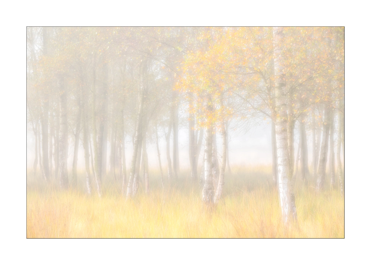 Sigma 150-600mm F5-6.3 DG OS HSM | C sample photo. Autumn colors photography