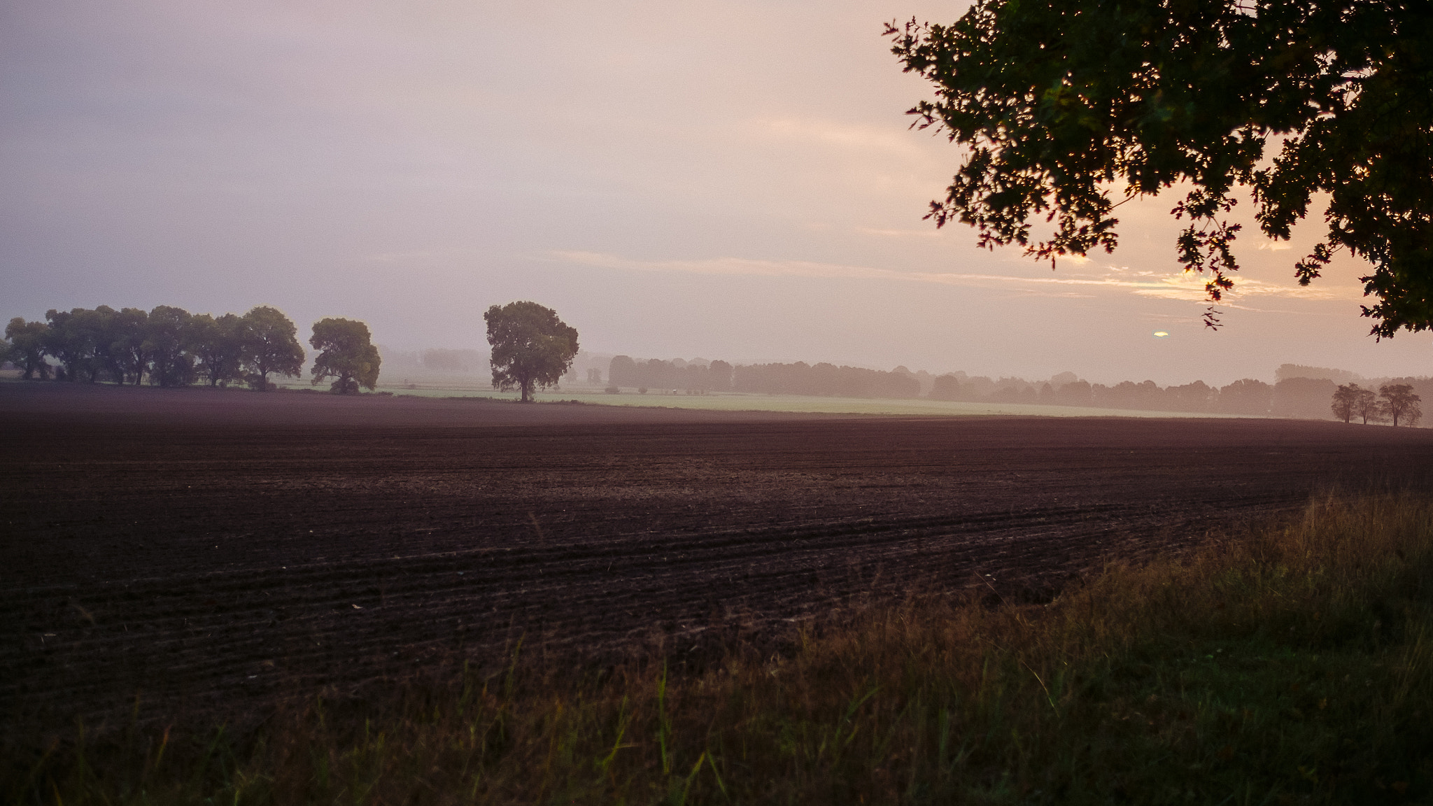 Fujifilm X-M1 + Fujifilm XF 23mm F1.4 R sample photo. Foggy morning photography