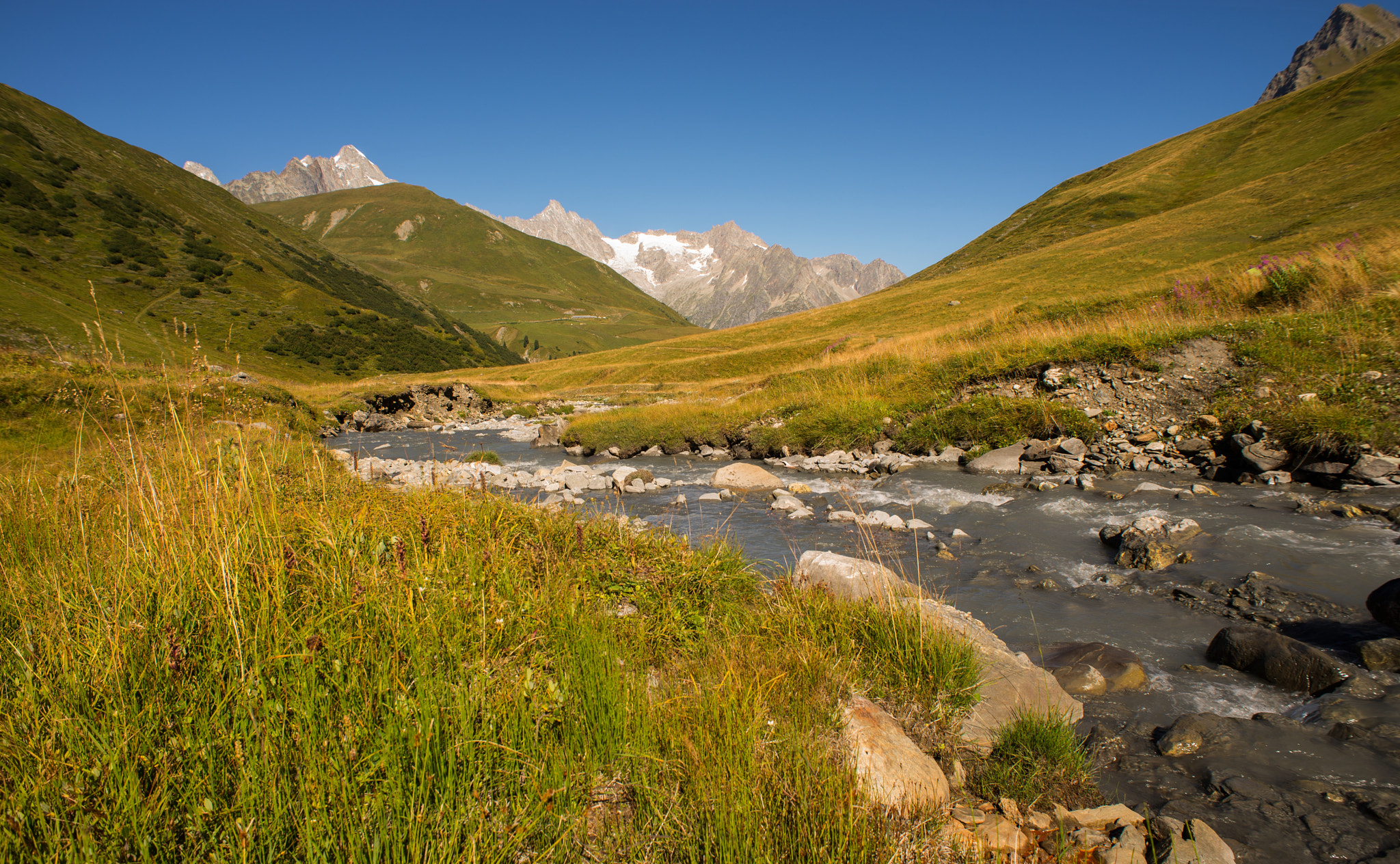 Nikon D610 + AF Nikkor 20mm f/2.8 sample photo. Hiking through a swiss meadow photography