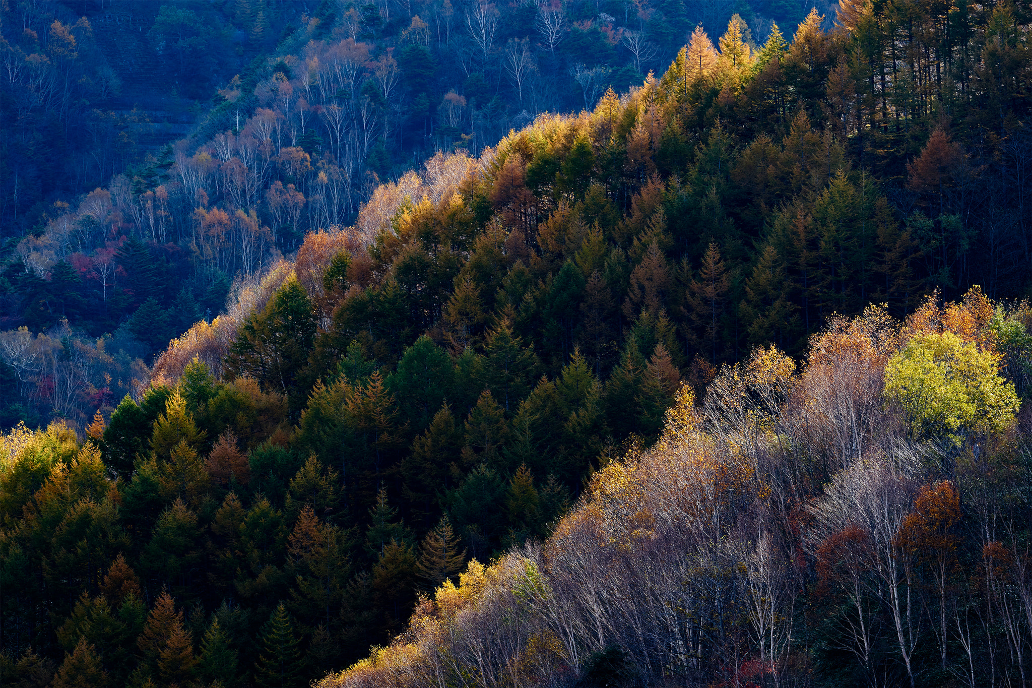 Sony 70-400mm F4-5.6 G SSM II sample photo. Footsteps of winter photography
