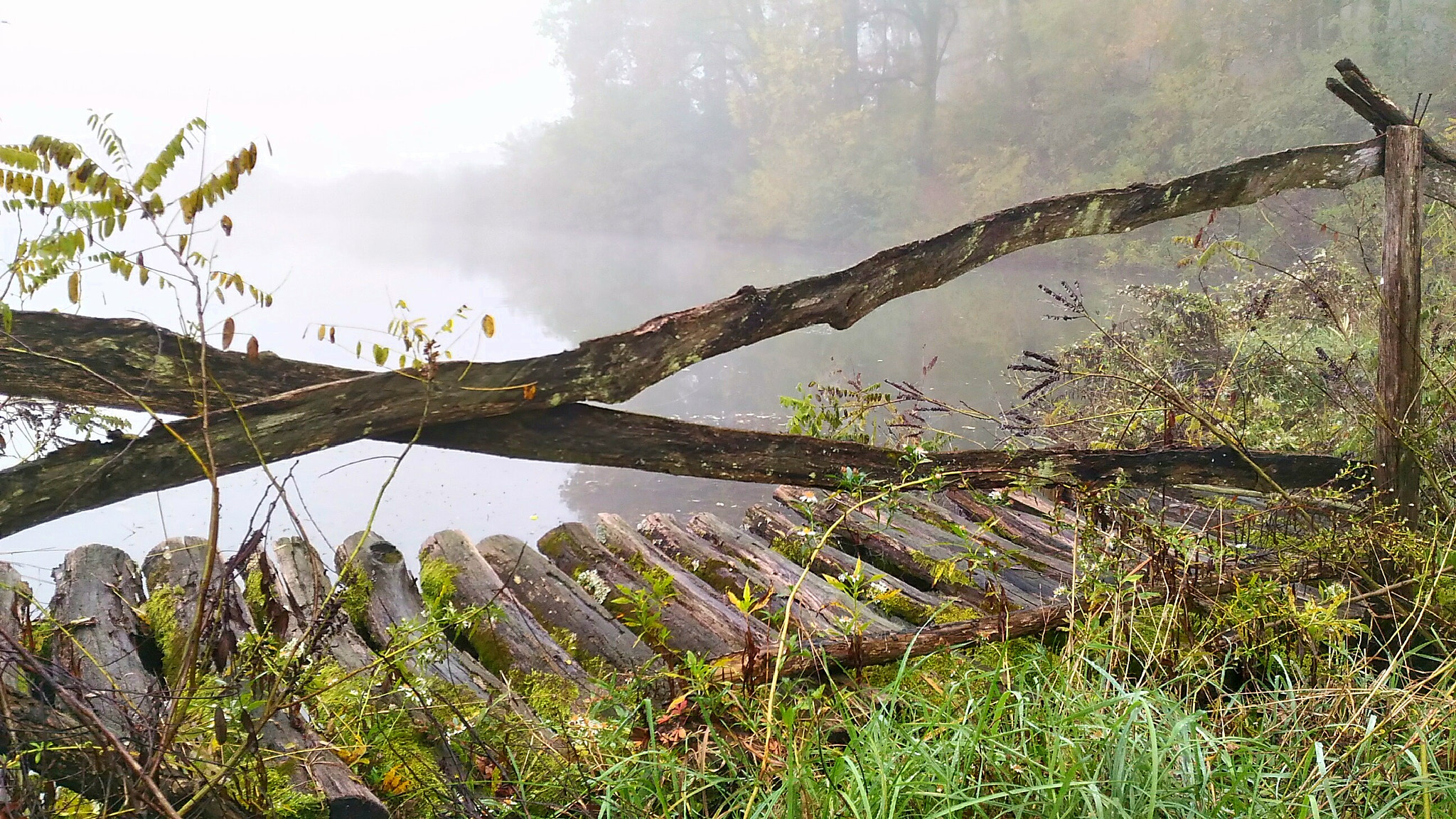 ASUS ZenFone Max (ZC550KL) sample photo. Bridge by the untroubled water photography