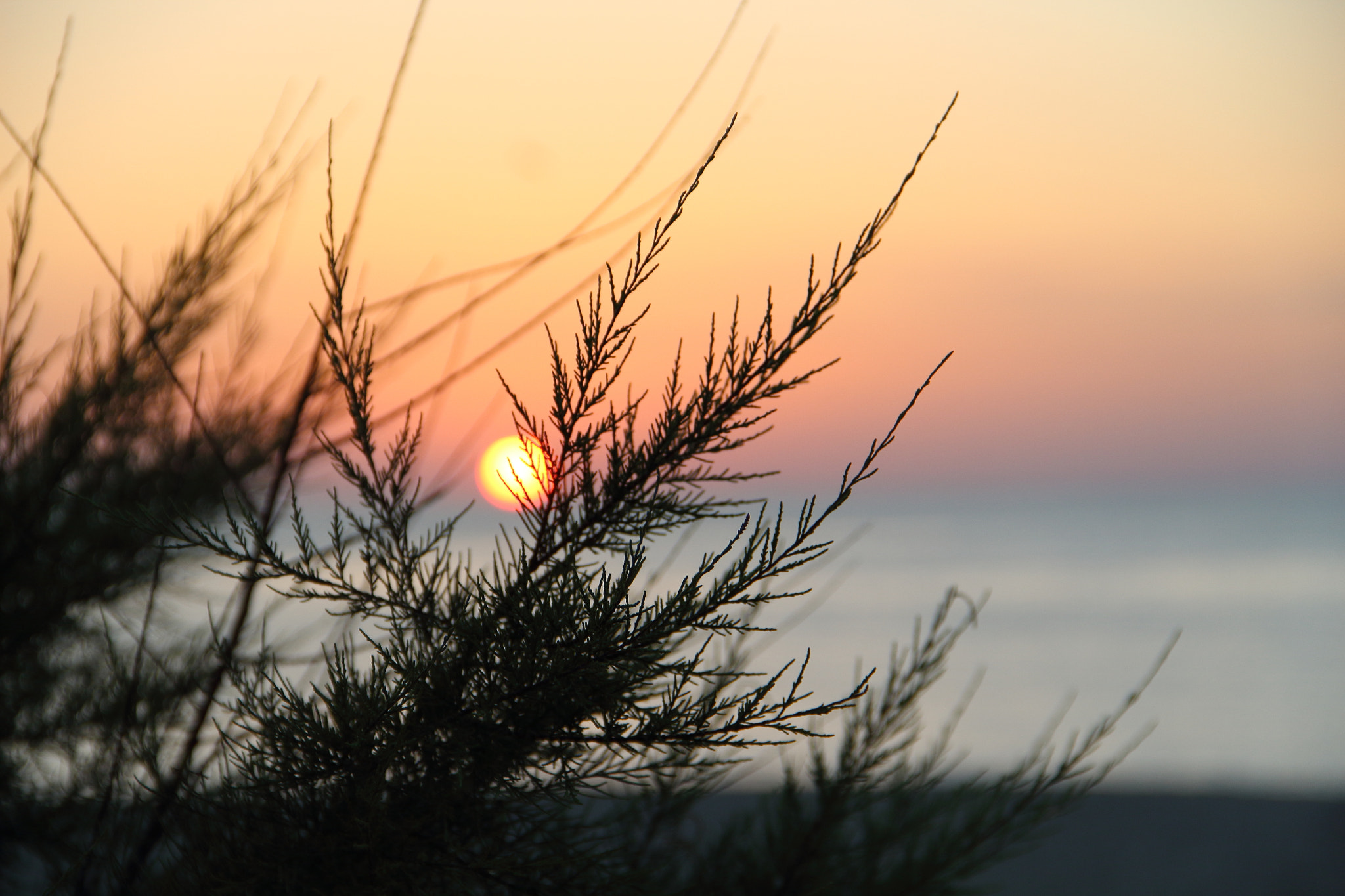 Canon EF-S 18-135mm F3.5-5.6 IS sample photo. Learning is a treasure which accompanies its owner everywhere photography