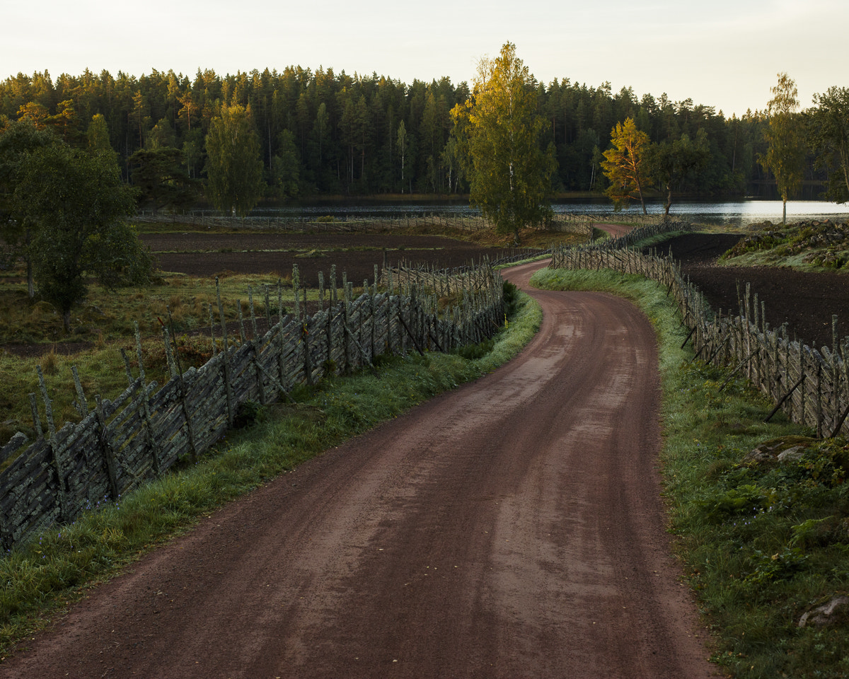 Canon EOS 5DS R + ZEISS Otus 55mm F1.4 sample photo. Stensjö by höst iii photography