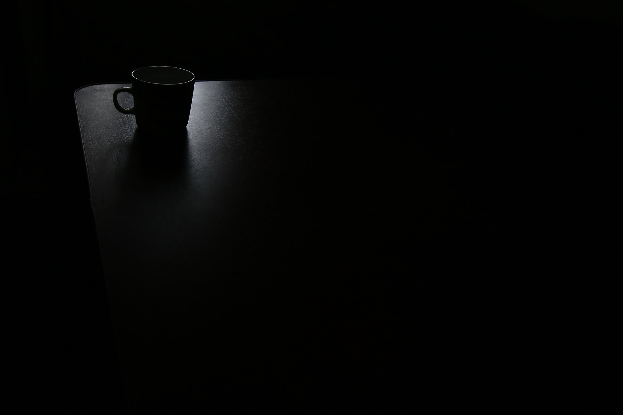 Tokina AT-X Pro 12-24mm F4 (IF) DX sample photo. Cup photography