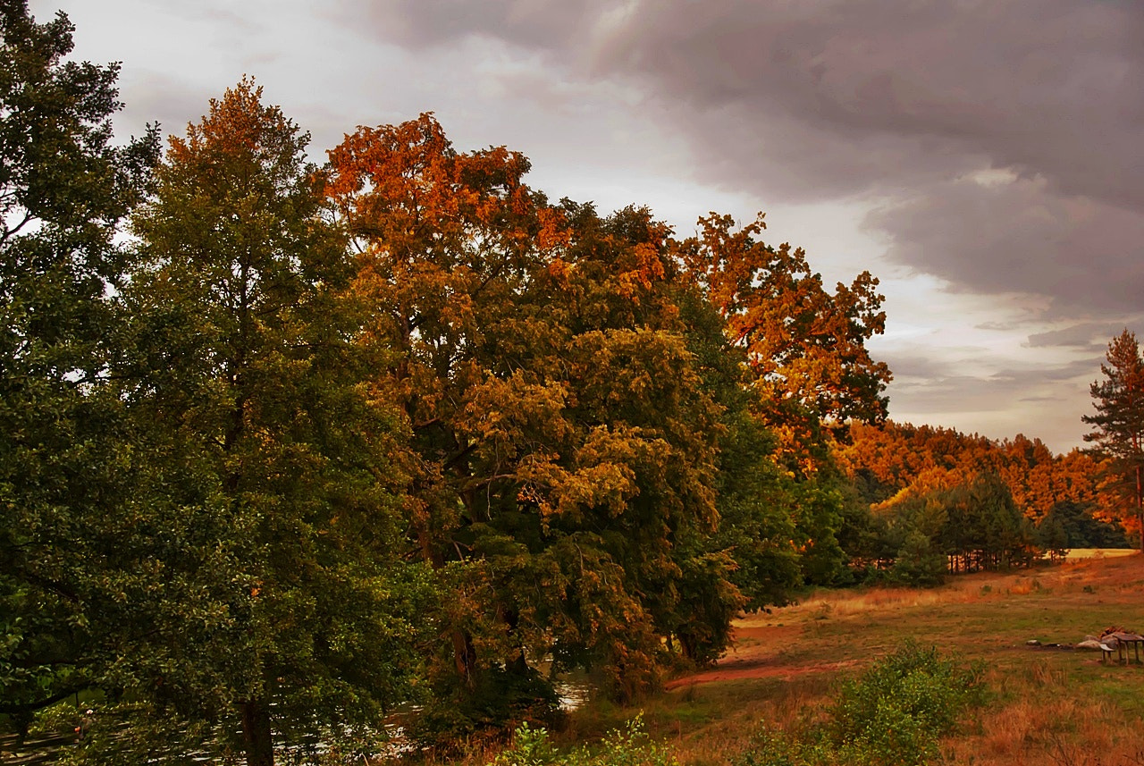 Tamron 18-270mm F3.5-6.3 Di II PZD sample photo. Jesienne klimaty photography