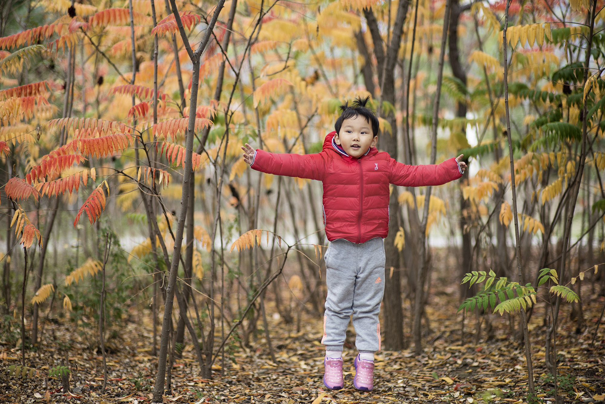 ZEISS Planar T* 85mm F1.4 sample photo