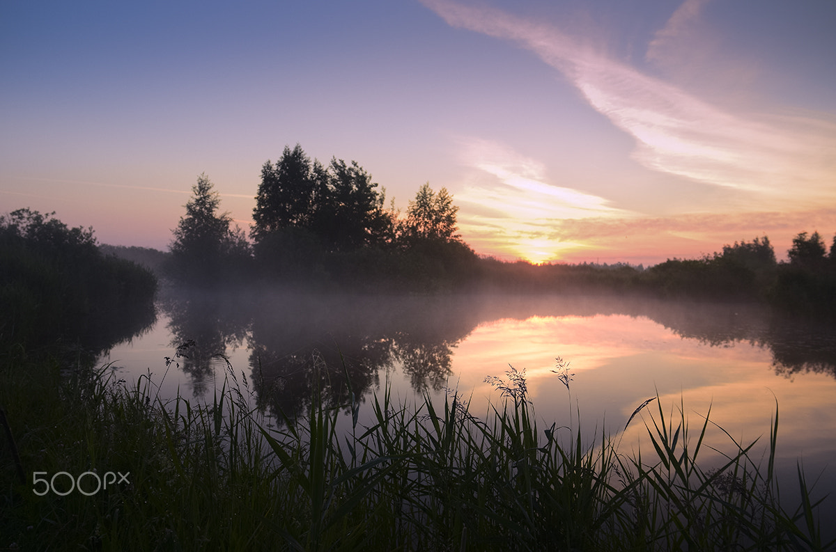 Sigma 17-70mm F2.8-4 DC Macro OS HSM | C sample photo. """"" photography