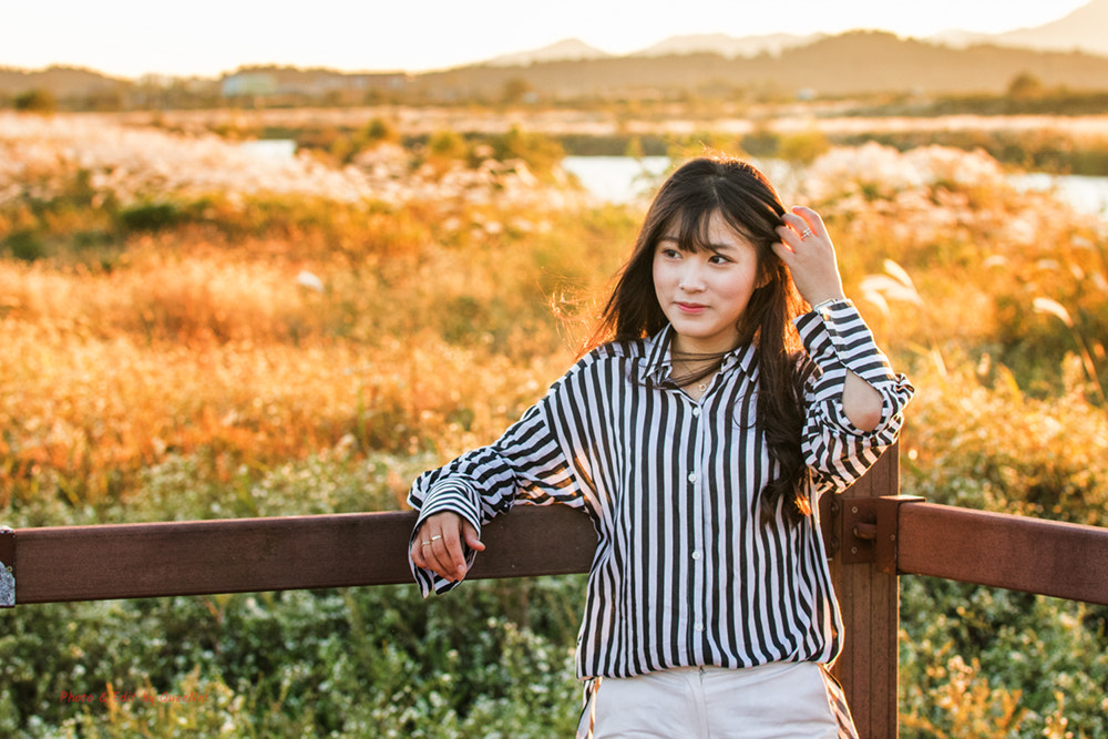 Sigma 50-100mm F1.8 DC HSM Art sample photo. 가을의 빛 04 photography