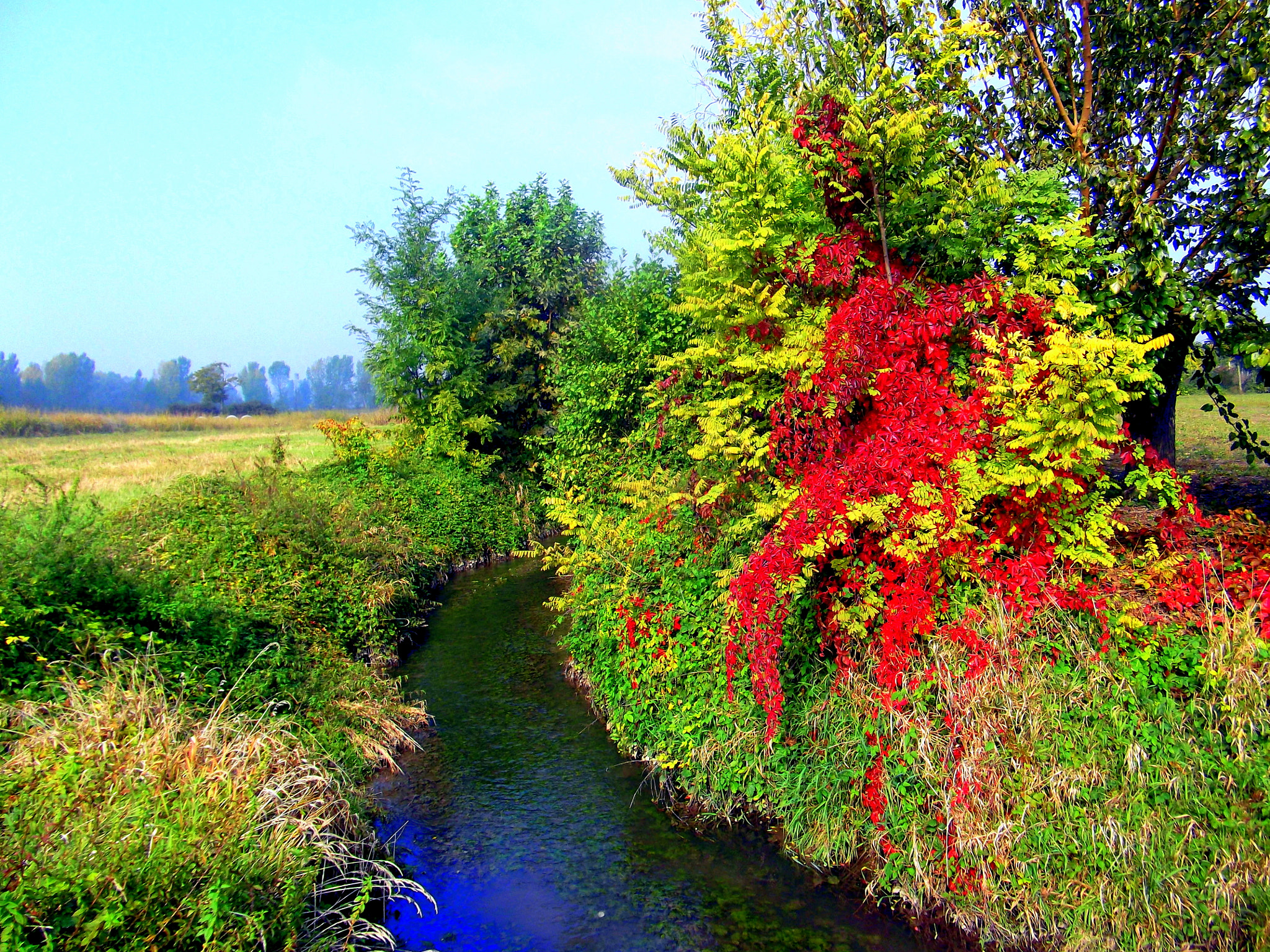 Fujifilm FinePix JX250 sample photo. La natura in autunno. photography