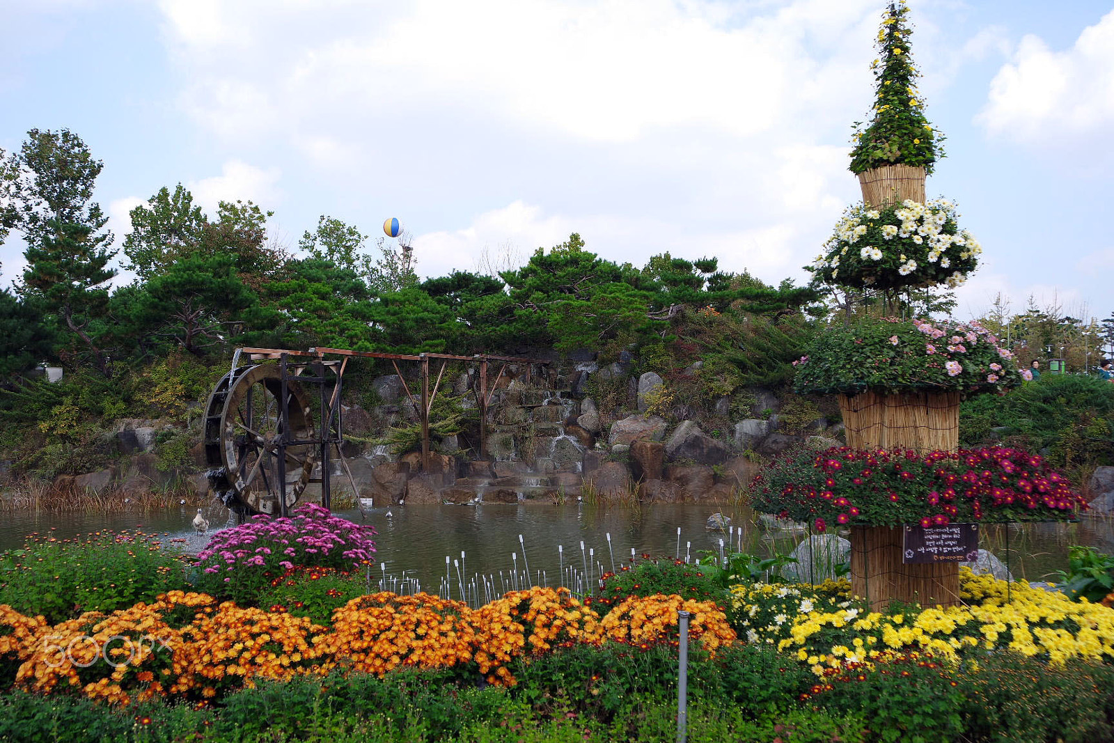 Samsung NX 16-50mm F3.5-5.6 Power Zoom ED OIS sample photo. Chrysanthemum festival photography