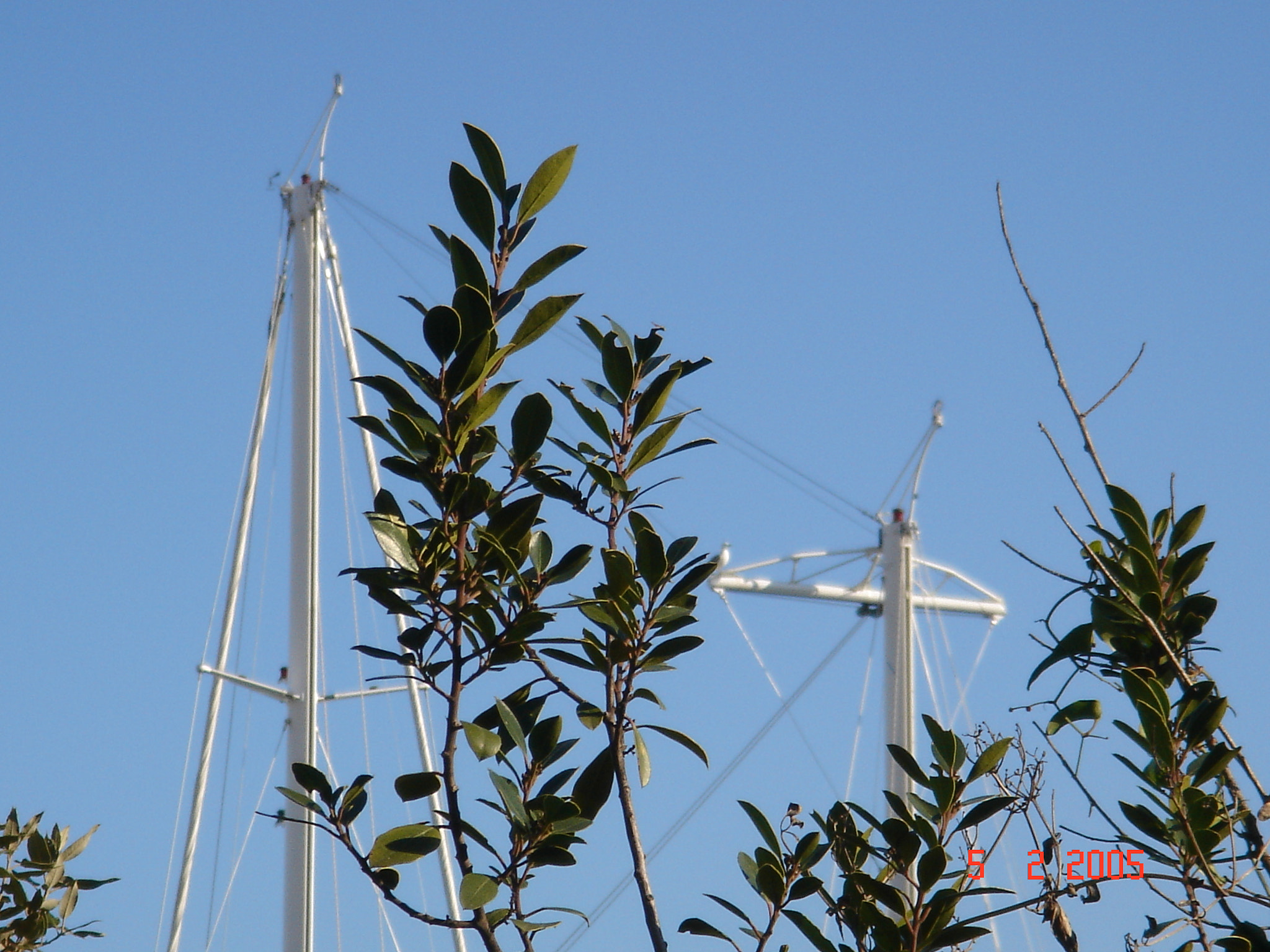 Sony DSC-T3 sample photo