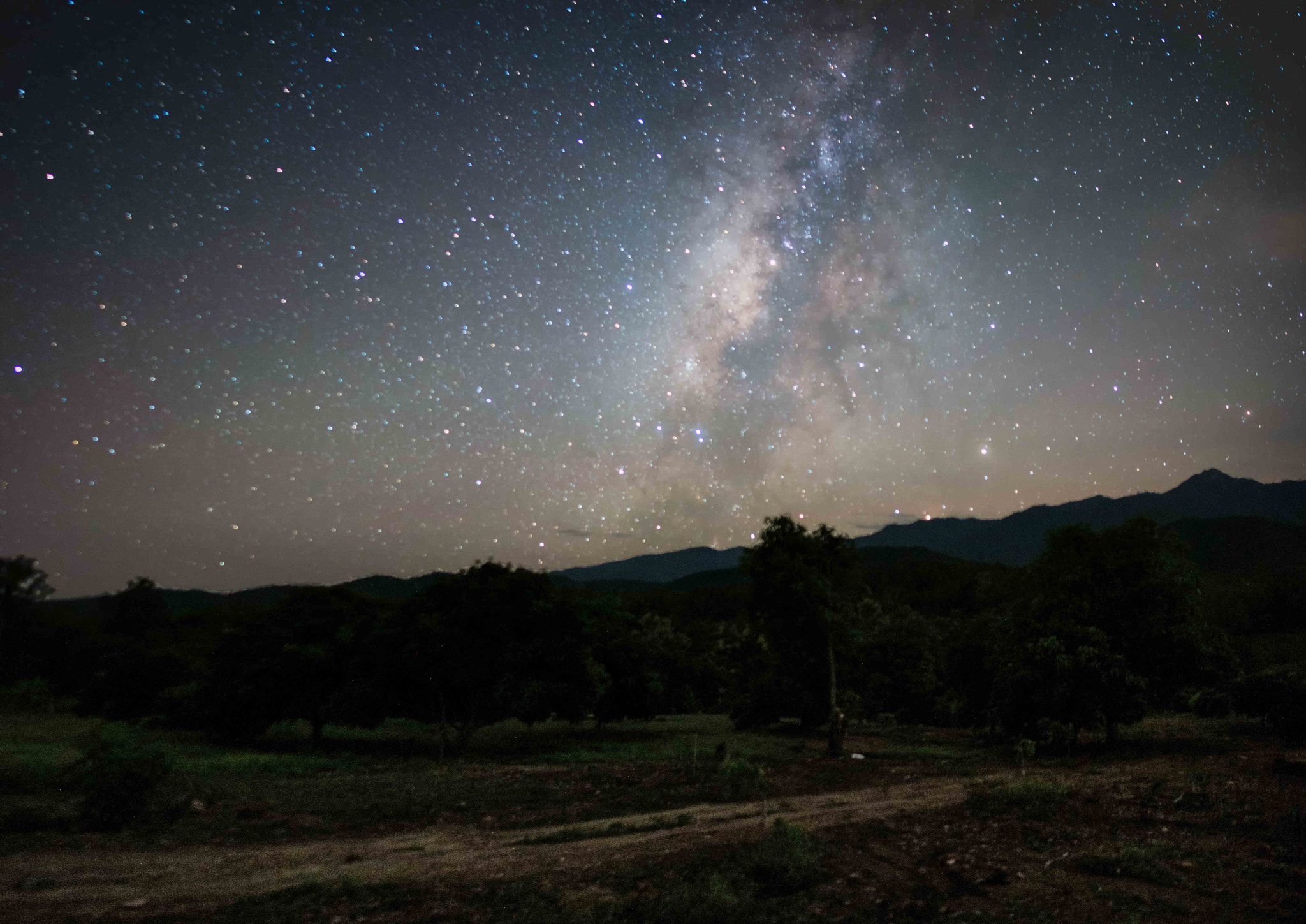 Samyang 12mm F2.8 ED AS NCS Fisheye sample photo. Km from home photography