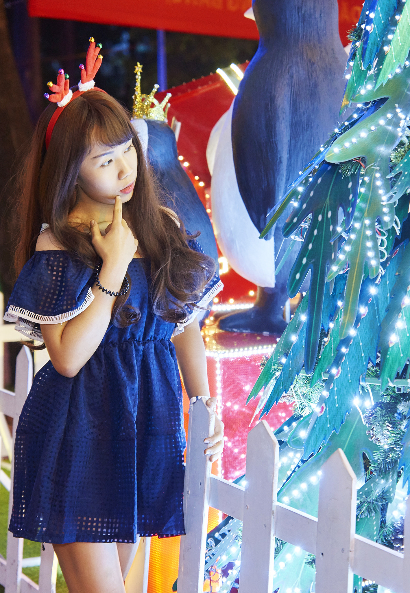 Sony SLT-A57 + Sony DT 16-50mm F2.8 SSM sample photo. Tram noel () photography