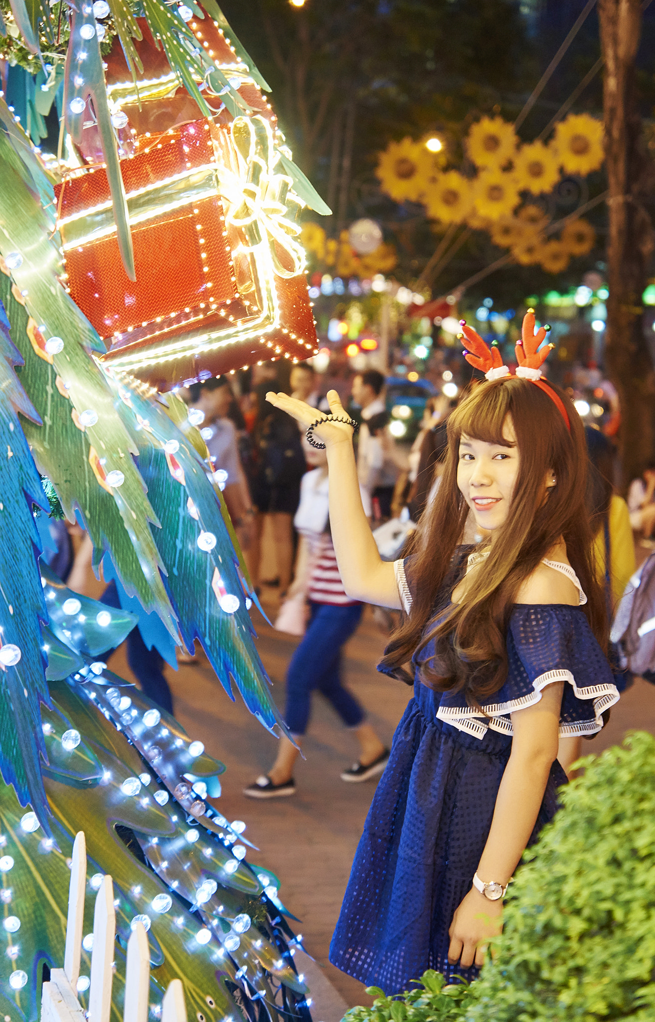 Sony SLT-A57 + Sony DT 16-50mm F2.8 SSM sample photo. Tram noel () photography