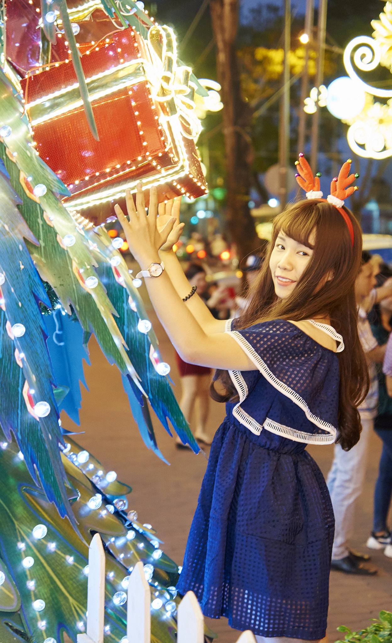 Sony SLT-A57 + Sony DT 16-50mm F2.8 SSM sample photo. Tram noel () photography