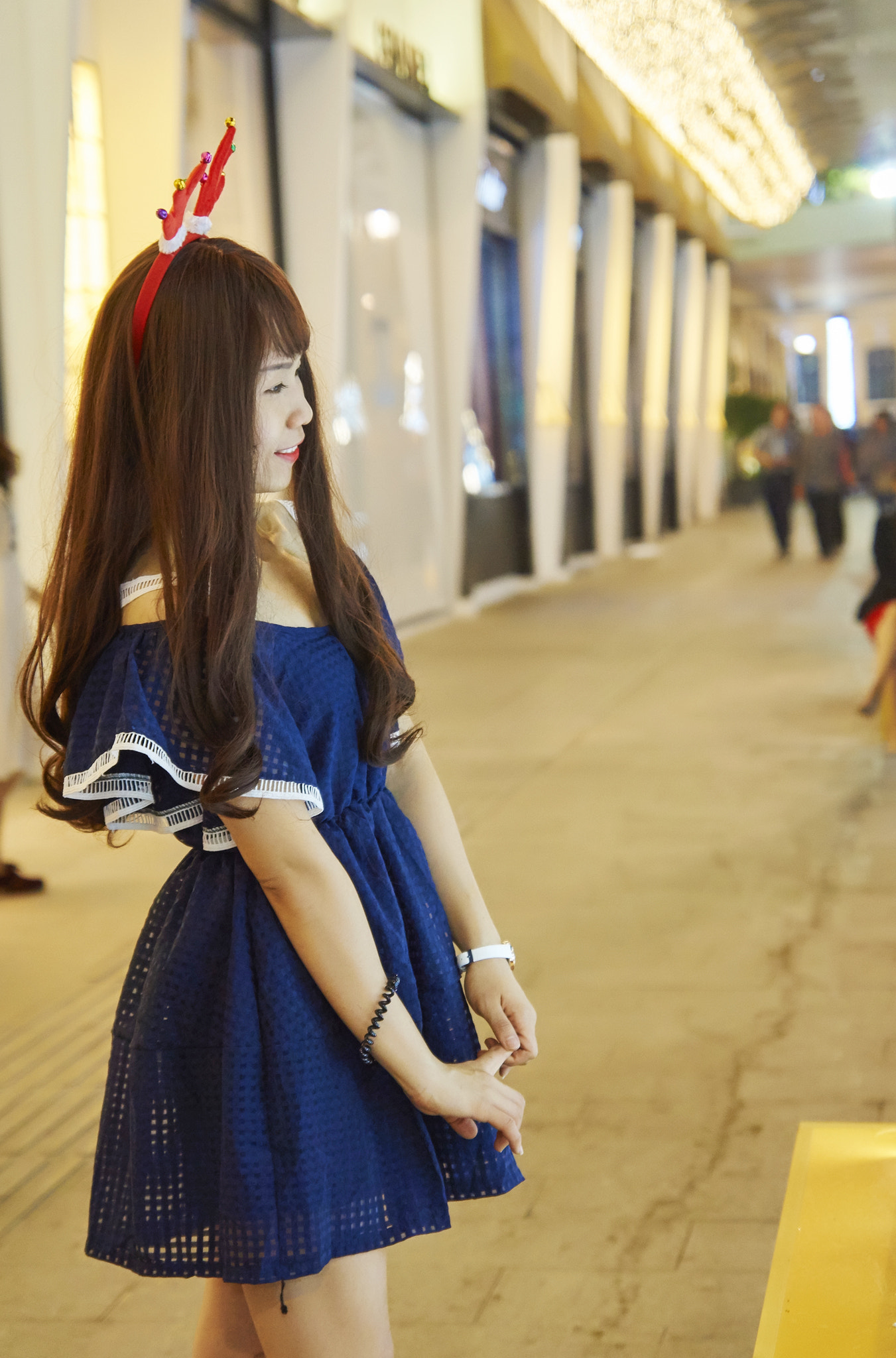 Sony SLT-A57 + Sony DT 16-50mm F2.8 SSM sample photo. Tram noel () photography