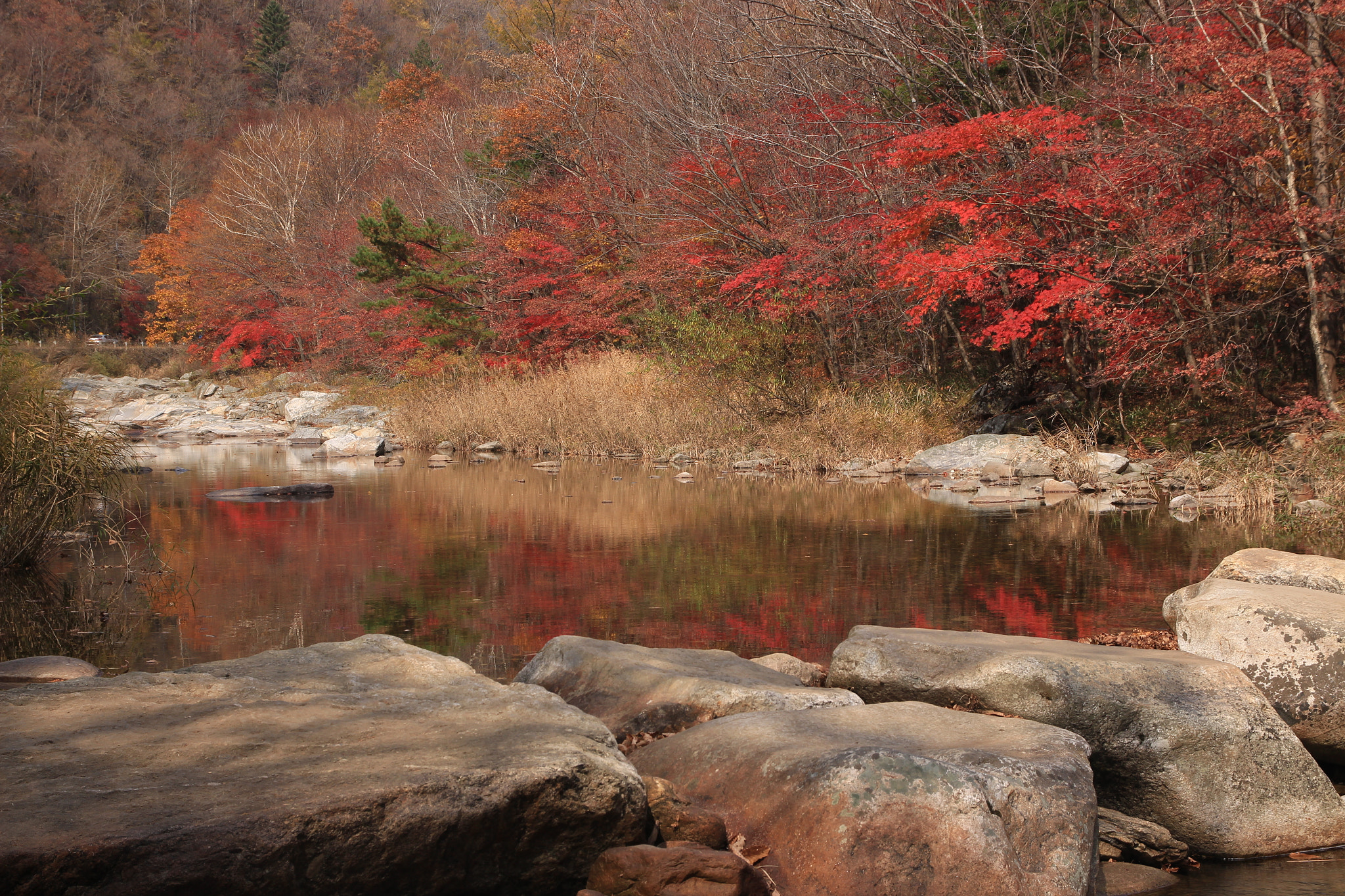 Canon EOS 650D (EOS Rebel T4i / EOS Kiss X6i) sample photo. Trance photography