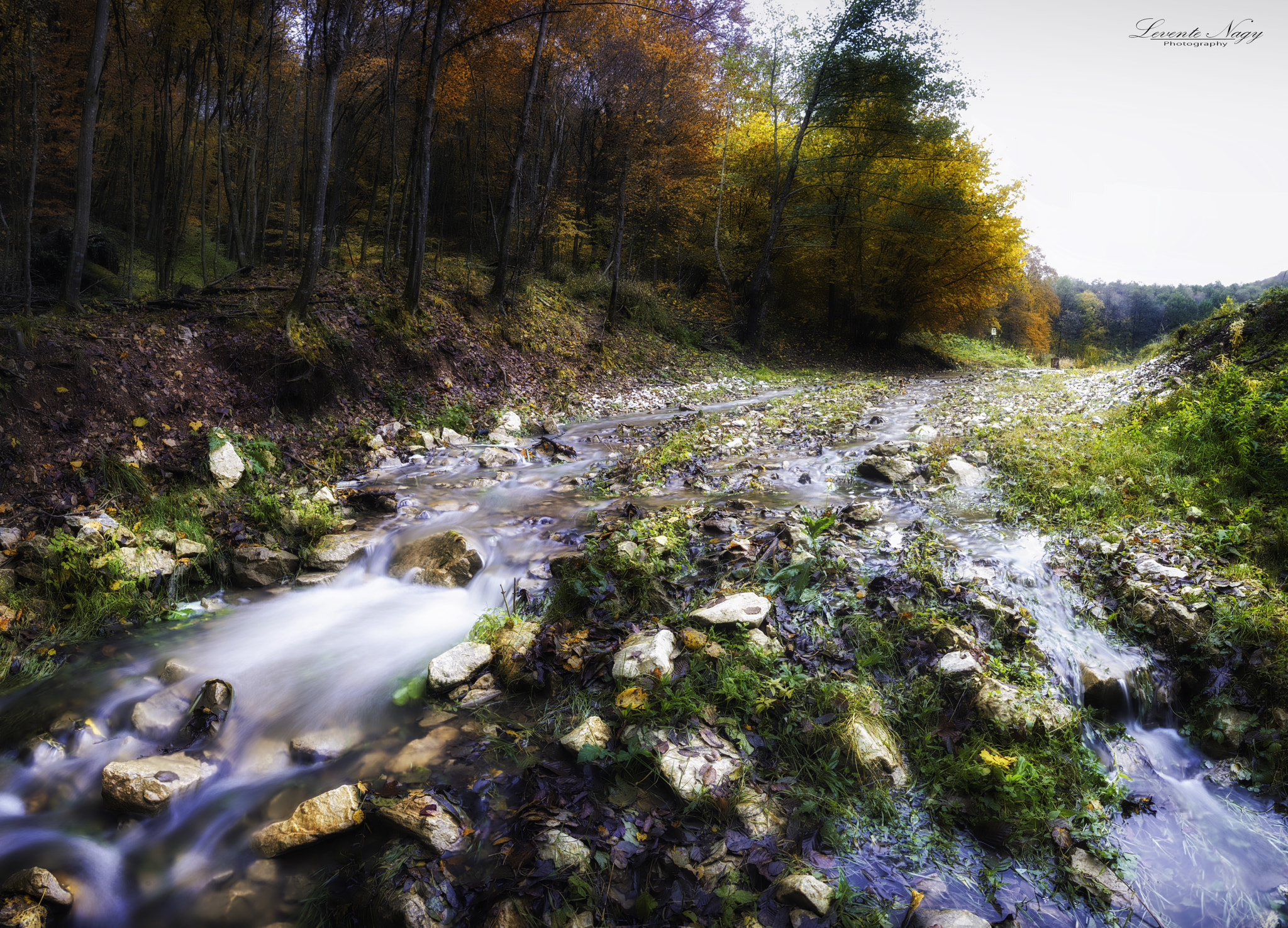 Nikon D600 sample photo. Motion photography