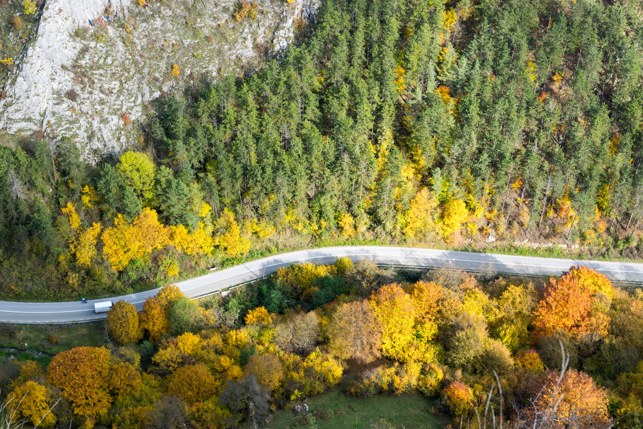 Sigma 17-70mm F2.8-4 DC Macro OS HSM | C sample photo. Autumn road photography