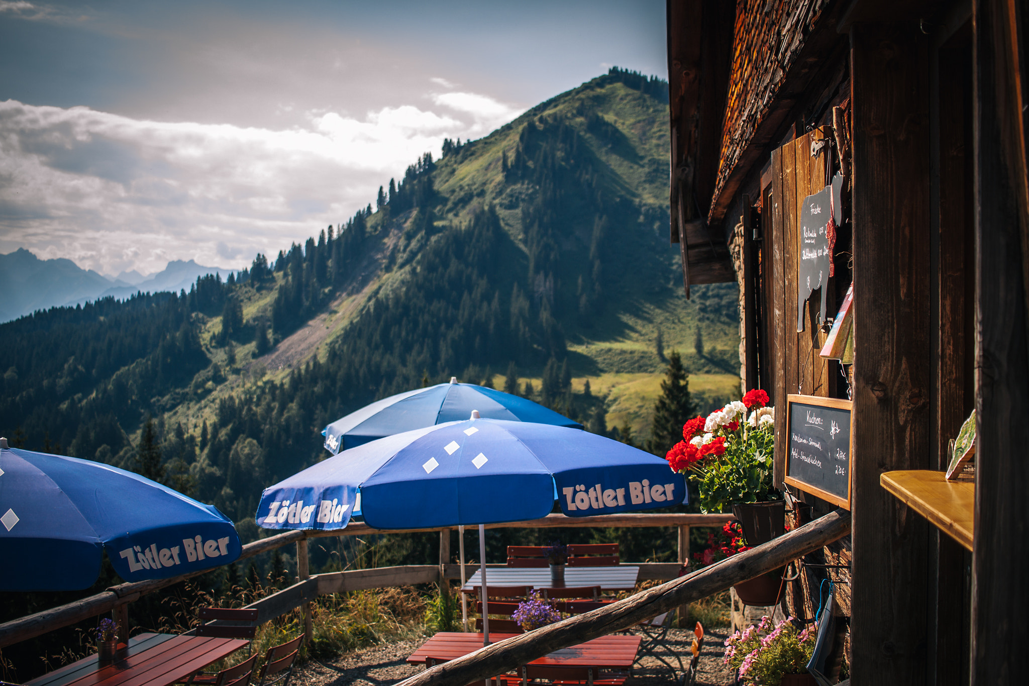 Canon EF-S 24mm F2.8 STM sample photo. Alm im allgäu photography