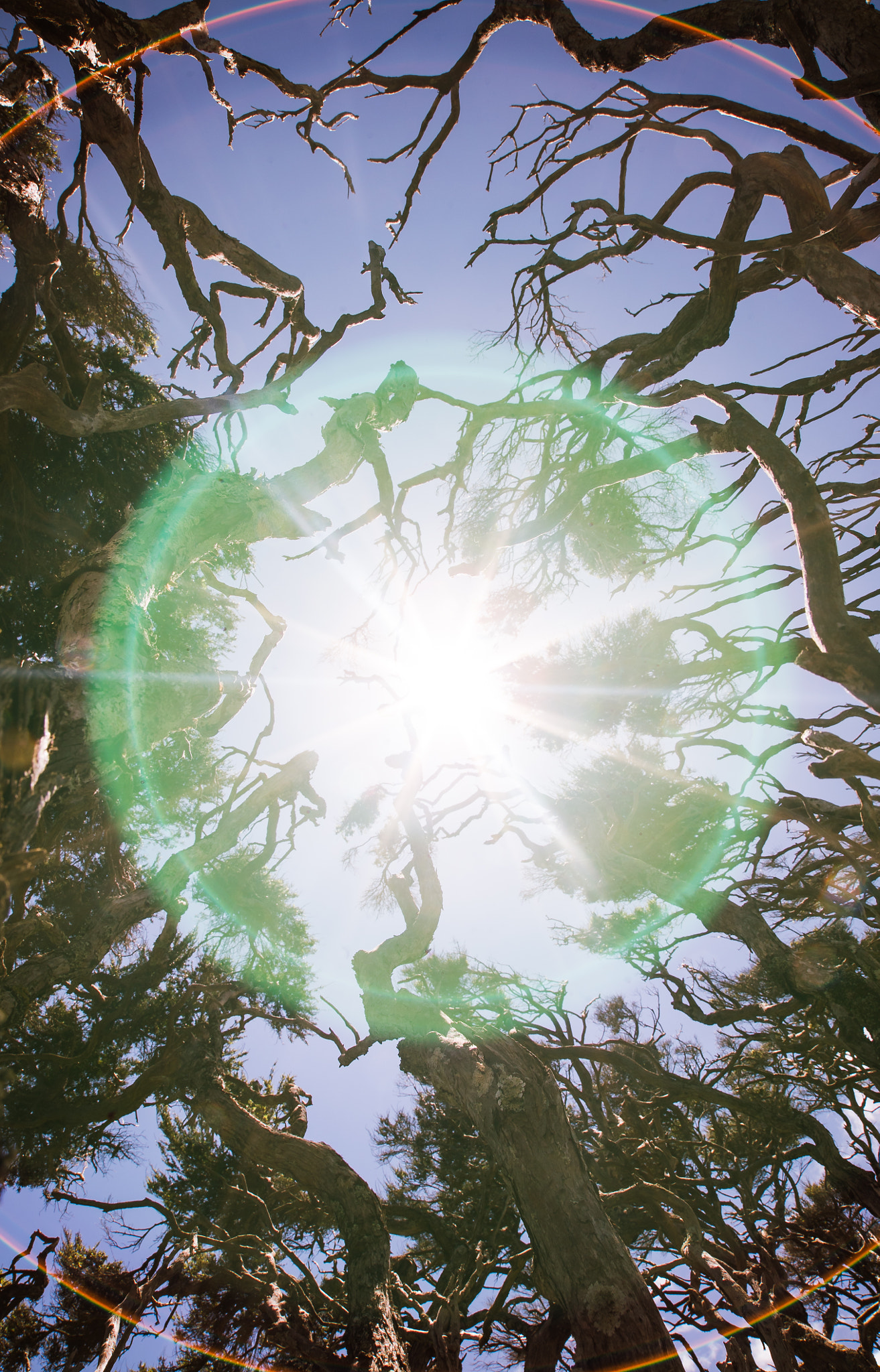 Tamron 18-270mm F3.5-6.3 Di II PZD sample photo. Flares photography