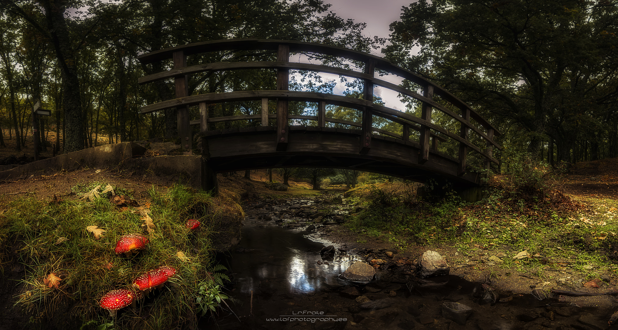 20mm F2.8 sample photo. Bridge to autumn photography