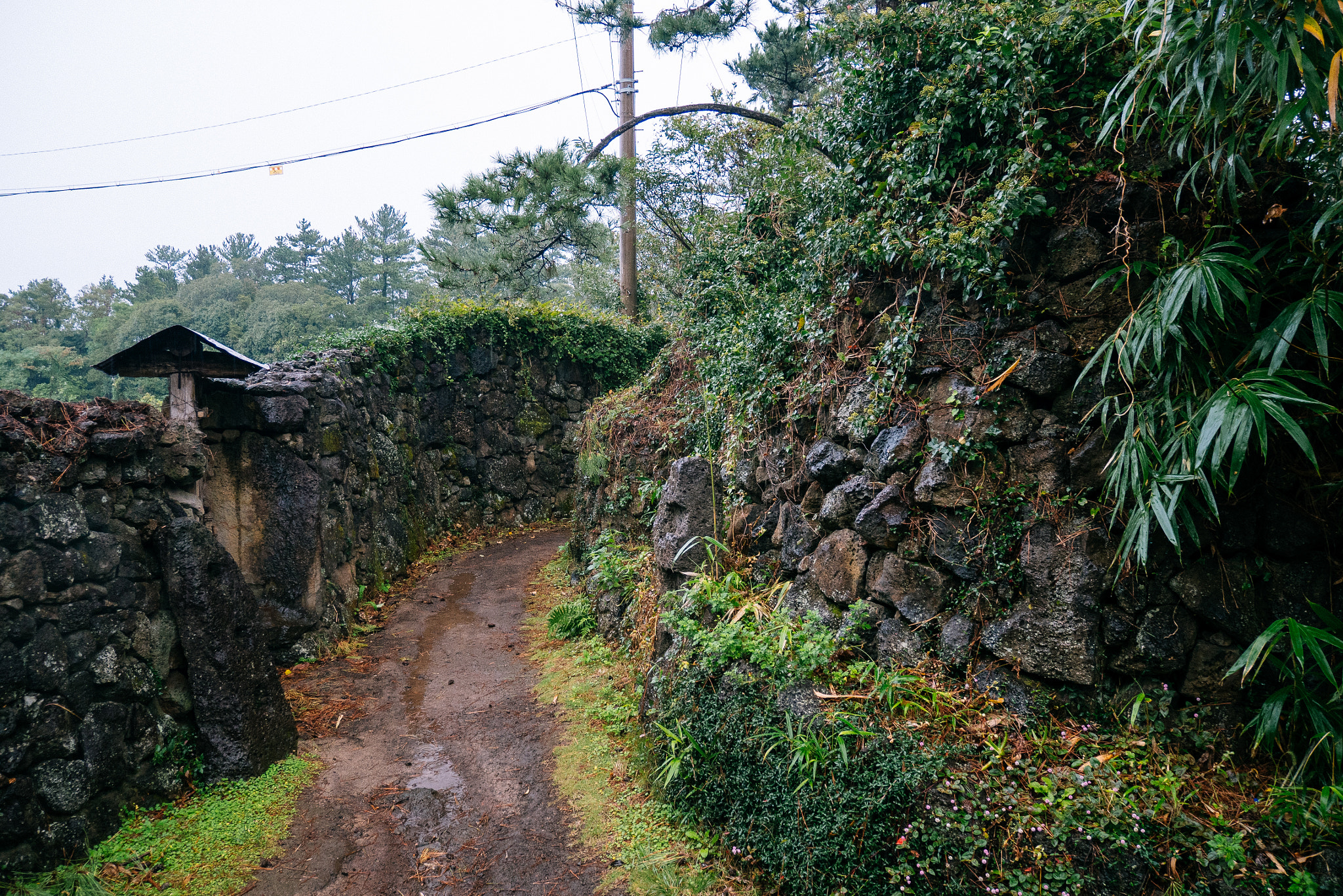 Panasonic Lumix DMC-GX85 (Lumix DMC-GX80 / Lumix DMC-GX7 Mark II) sample photo. 돌담길 photography