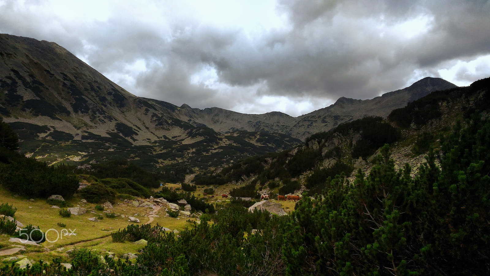 ASUS ZenFone 2 Laser (ZE500KL) sample photo. Pirin mountain, bulgaria photography