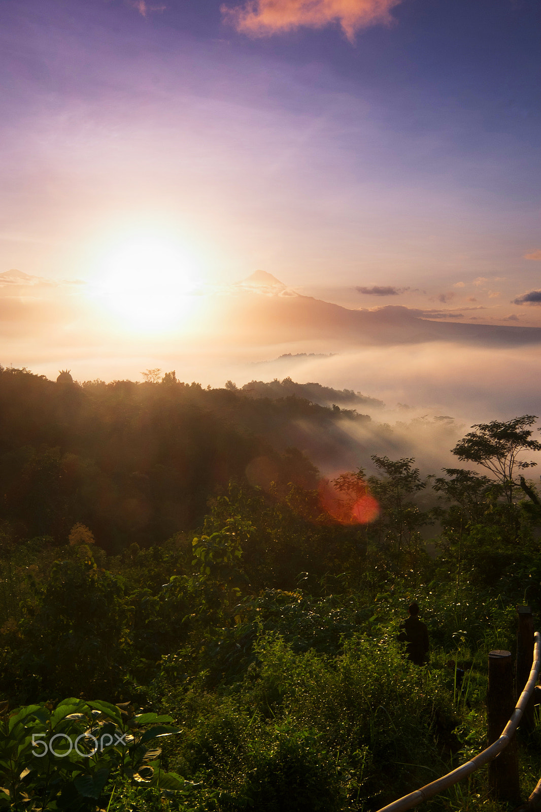 Fujifilm XF 10-24mm F4 R OIS sample photo. Foggy borobudur photography