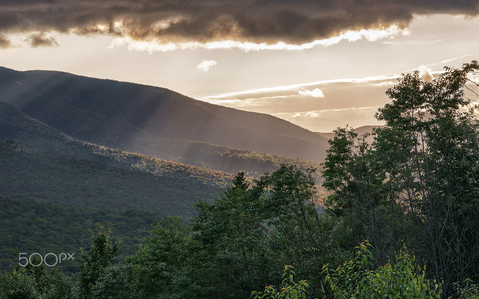 Sony Alpha NEX-6 + E 60mm F2.8 sample photo. Franconia notch state park photography