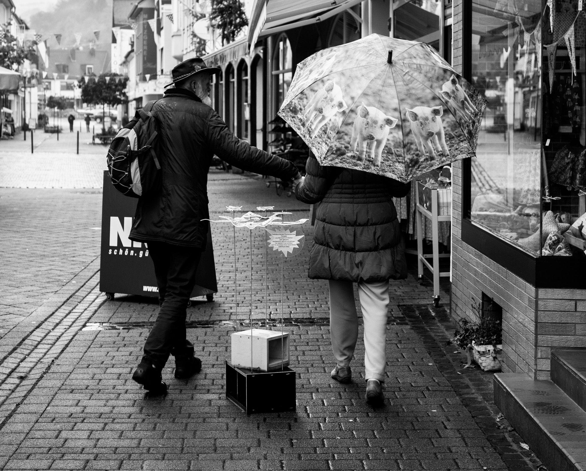 Panasonic Lumix DMC-GX85 (Lumix DMC-GX80 / Lumix DMC-GX7 Mark II) + LUMIX G 25/F1.7 sample photo. Beastly weather photography