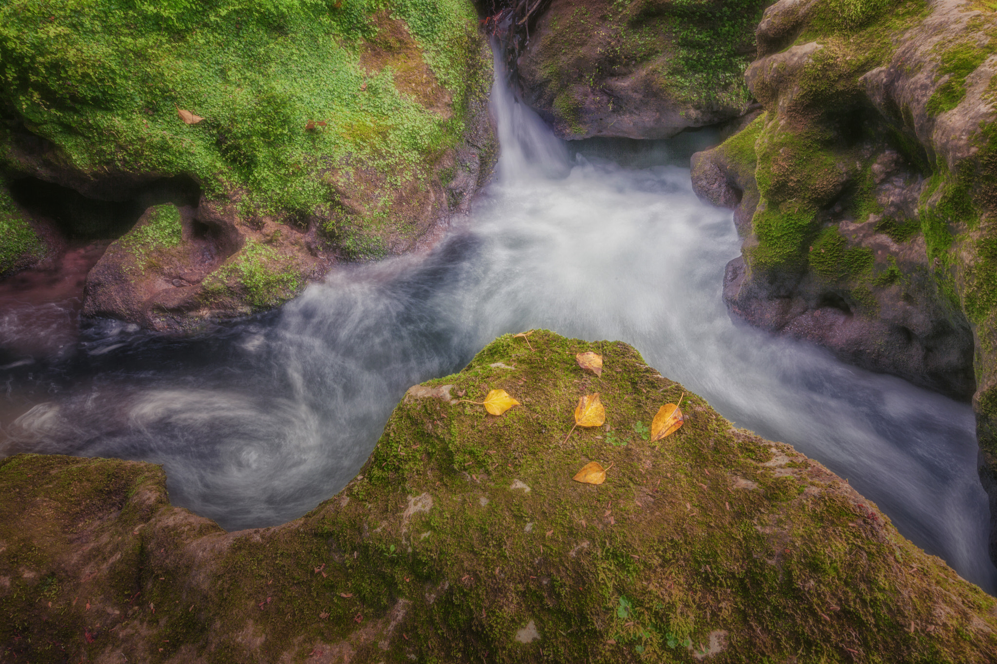 Tokina AT-X Pro 12-24mm F4 (IF) DX sample photo. Theogefyro photography