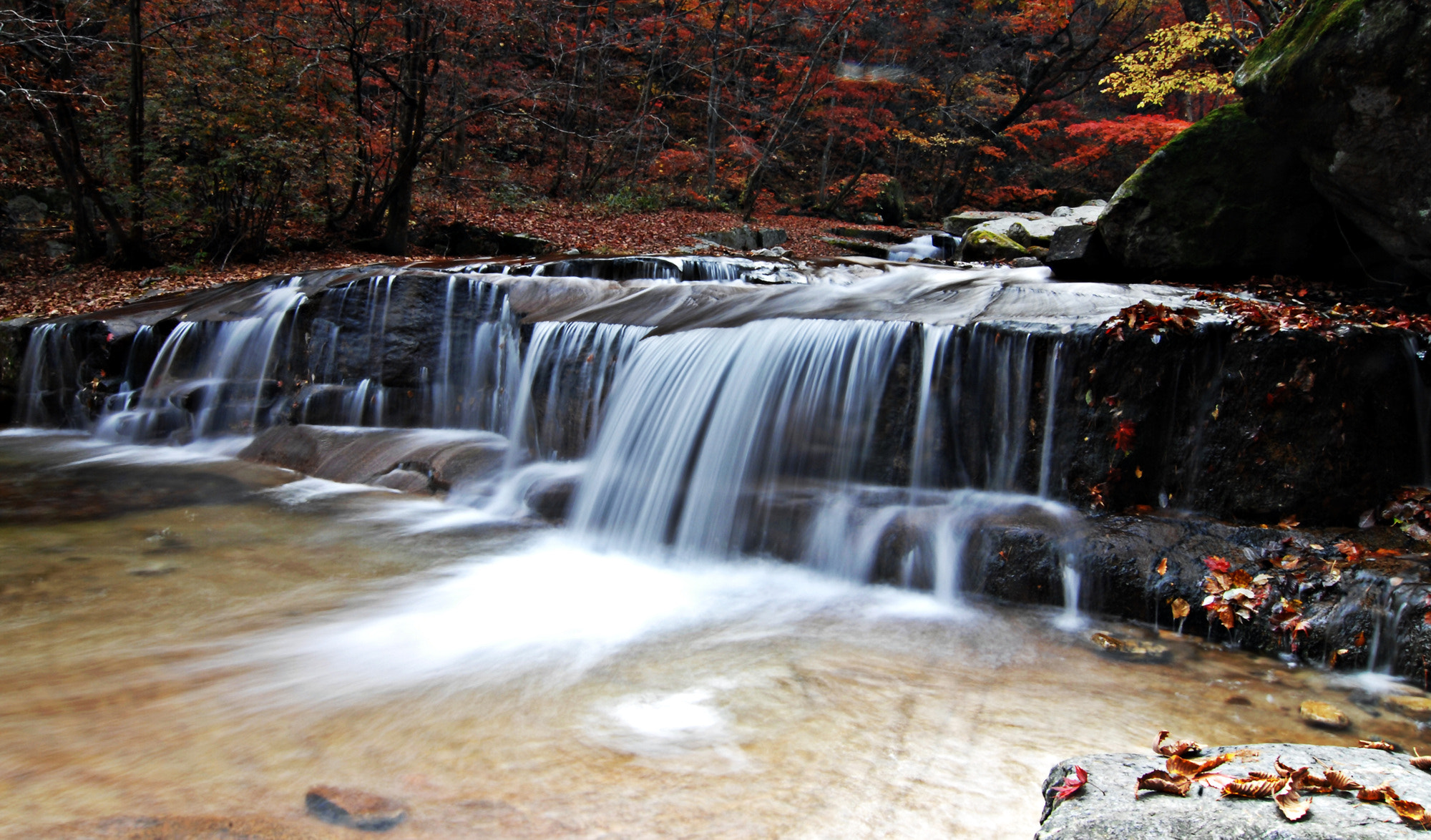 Nikon D2Xs + Tokina AT-X Pro 12-24mm F4 (IF) DX sample photo