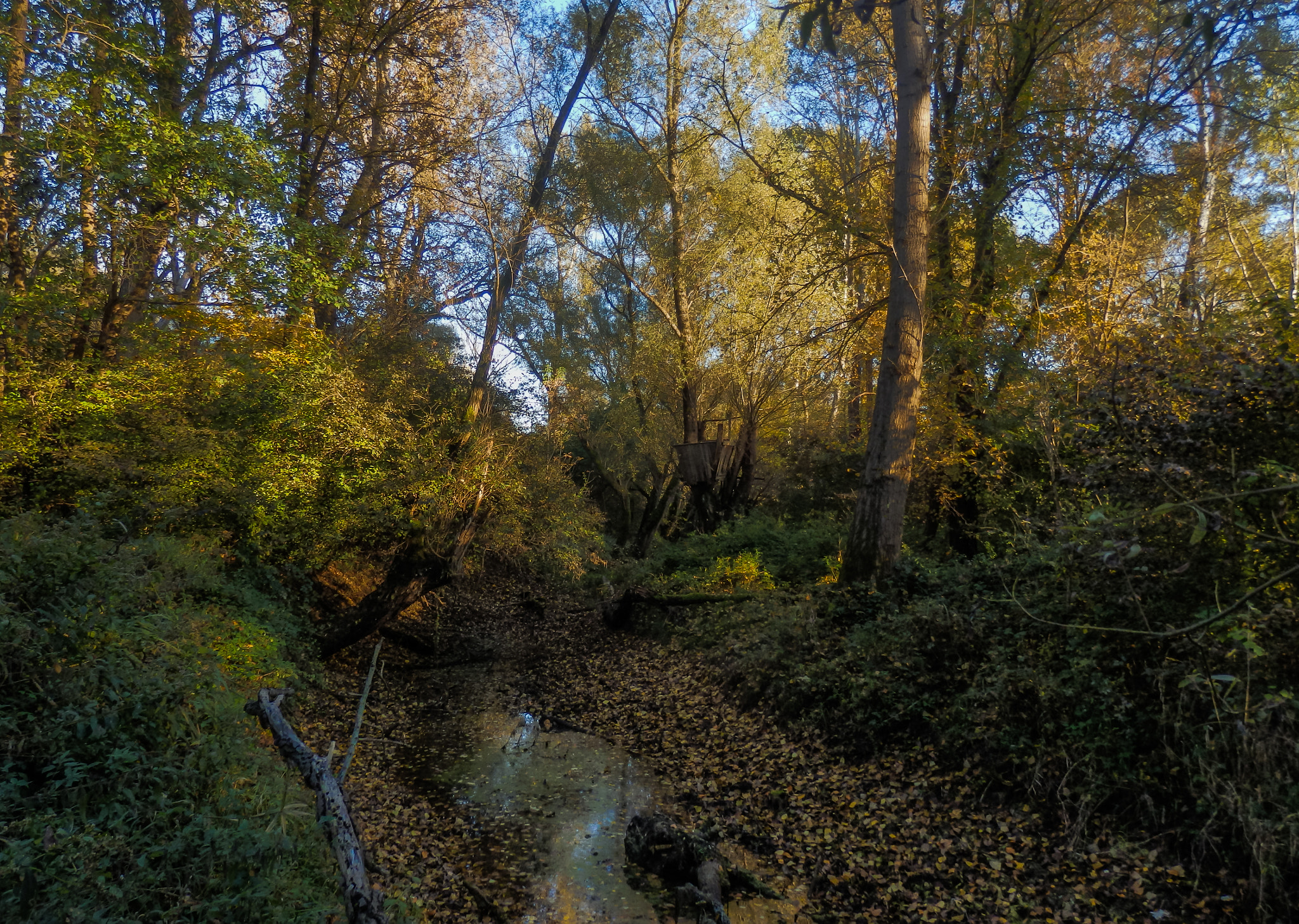 Olympus SZ-31MR sample photo. Dry stream. photography