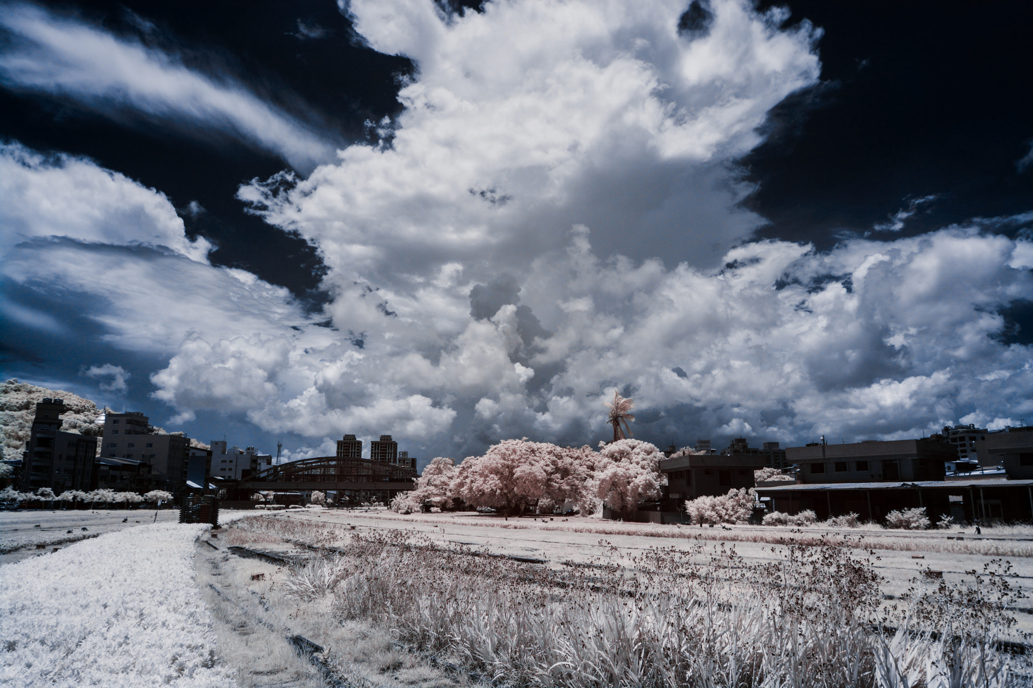 Nikon AF-S Nikkor 16-35mm F4G ED VR sample photo. Infrared ir720 photography