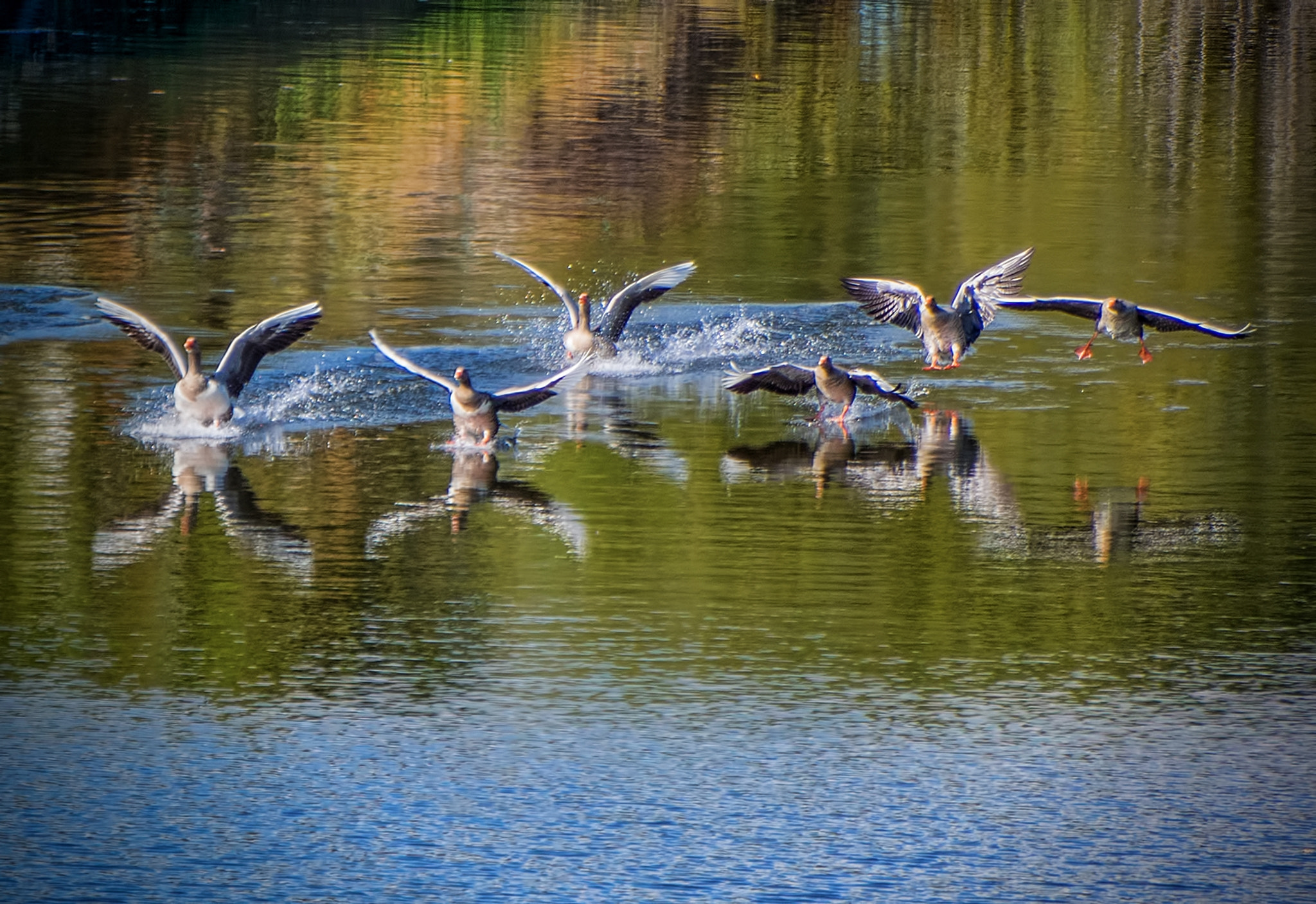 Panasonic Lumix G Vario 45-200mm F4-5.6 OIS sample photo. Olympus digital camera photography