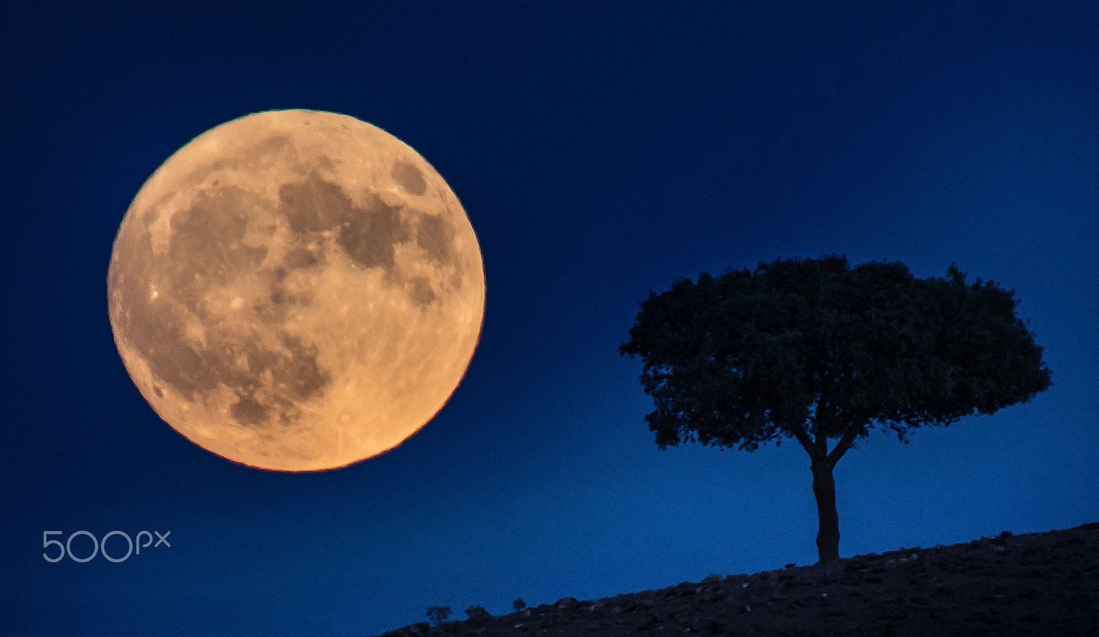 Nikon AF-S Nikkor 200-500mm F5.6E ED VR sample photo. Full moon photography