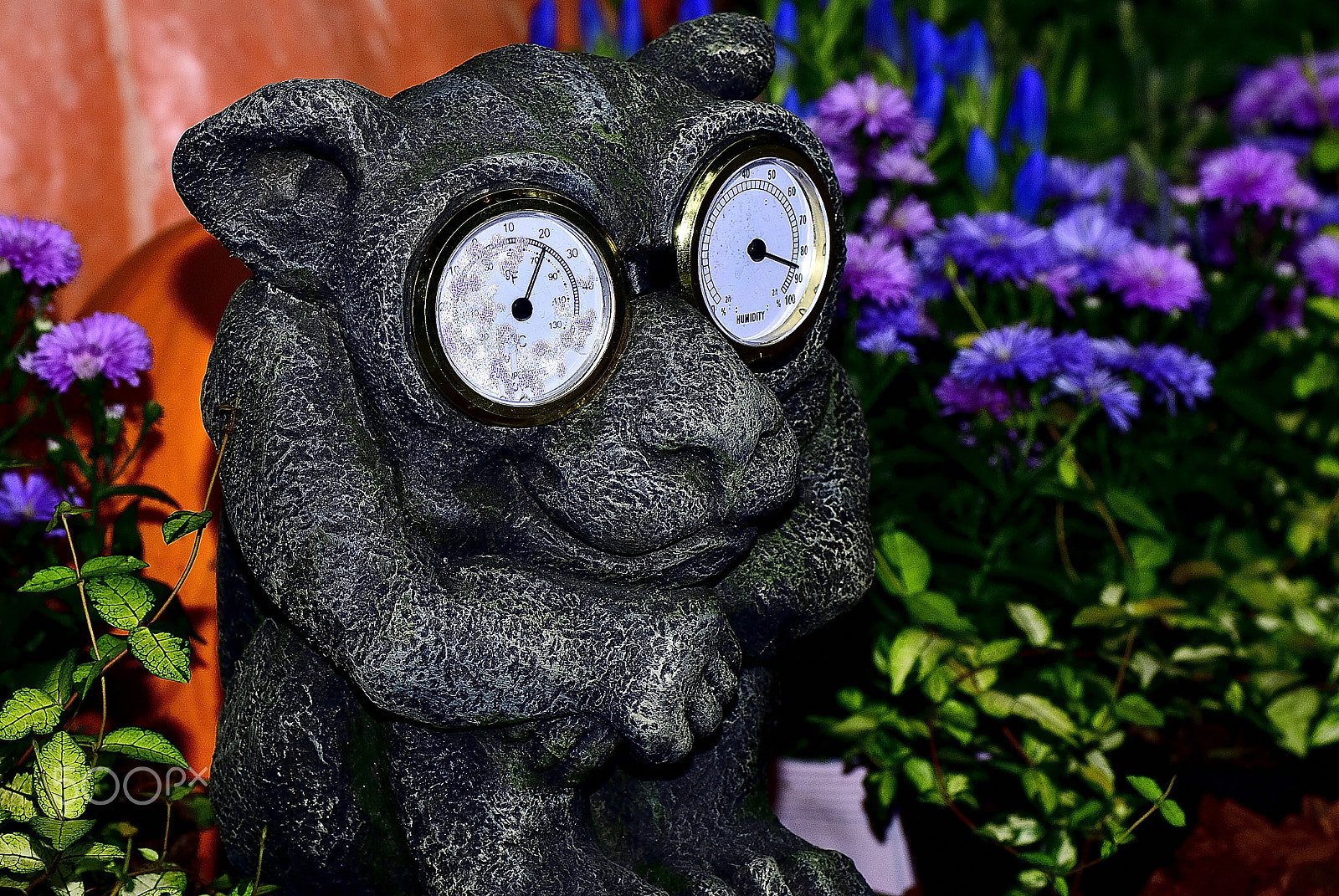 Nikon D200 sample photo. Thermometer and hygrometer goblin photography