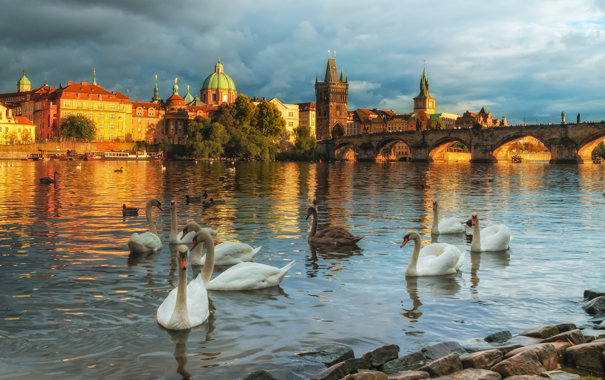 Sigma 28-300mm F3.5-6.3 DG Macro sample photo. Swans on vltava river in prague, czech republic. charles bridge photography