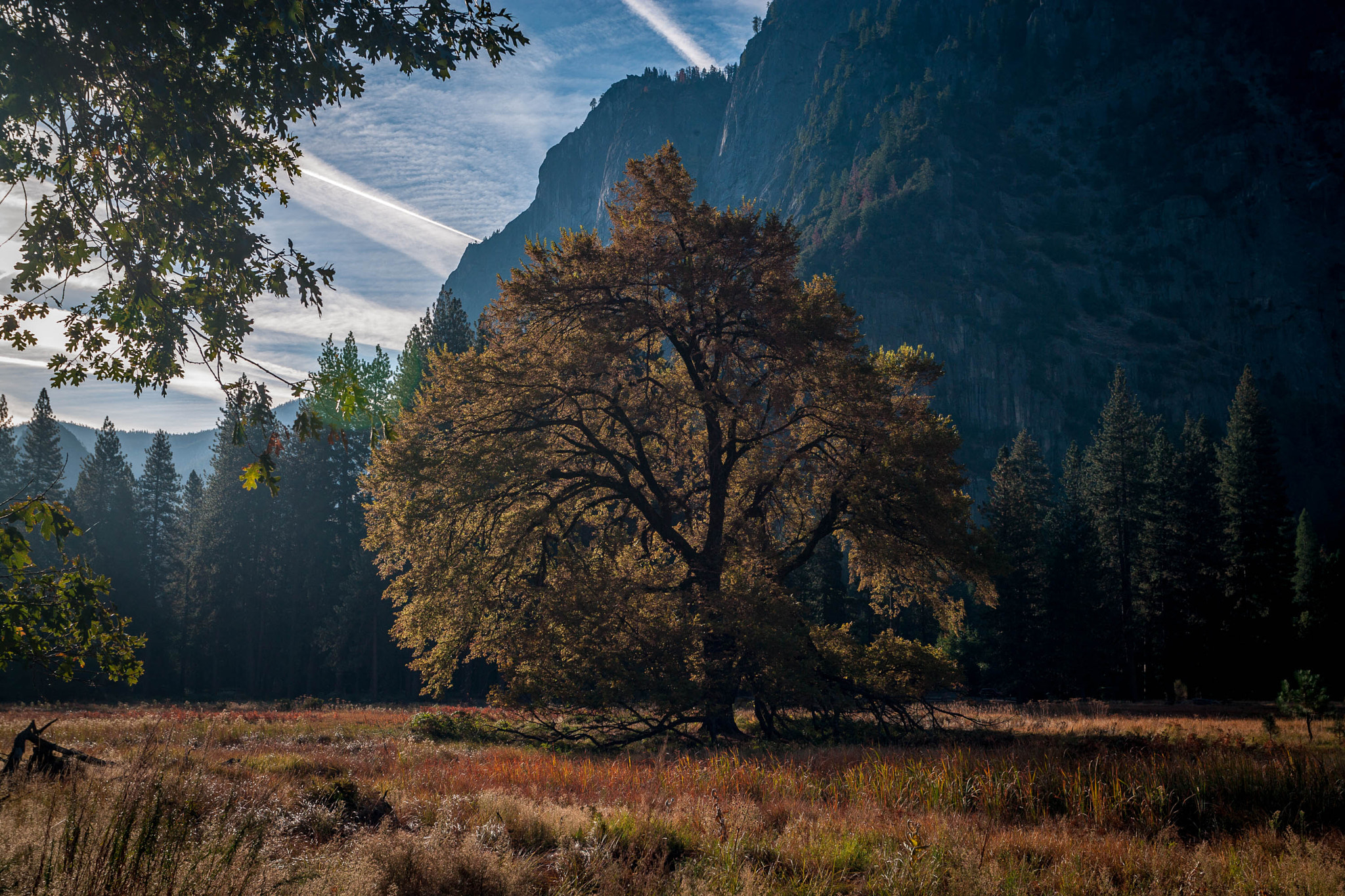 Canon EOS-1Ds Mark II sample photo. Cooks meadow ii photography