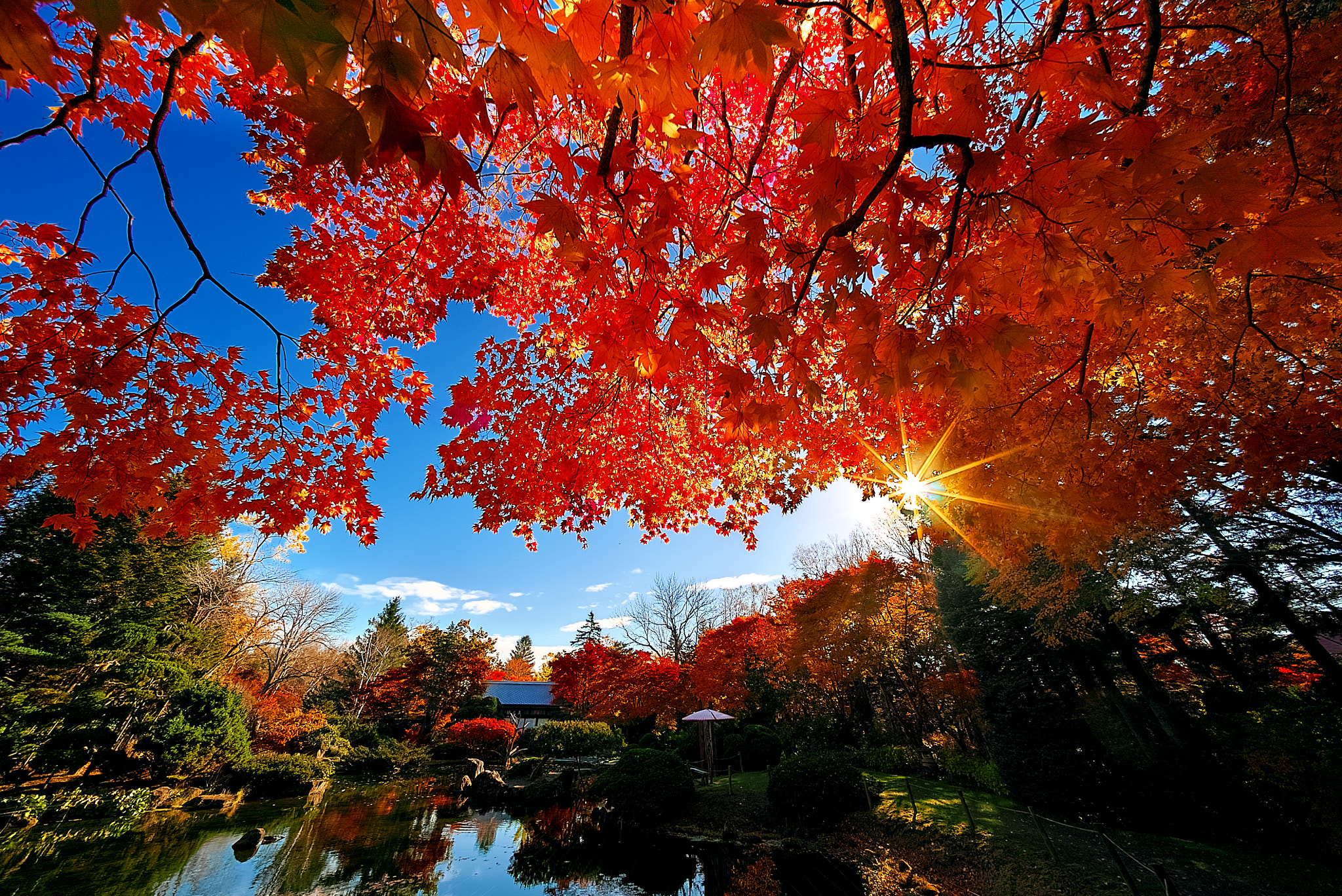 E 10mm F5.6 sample photo. Autumn in the japanese garden photography