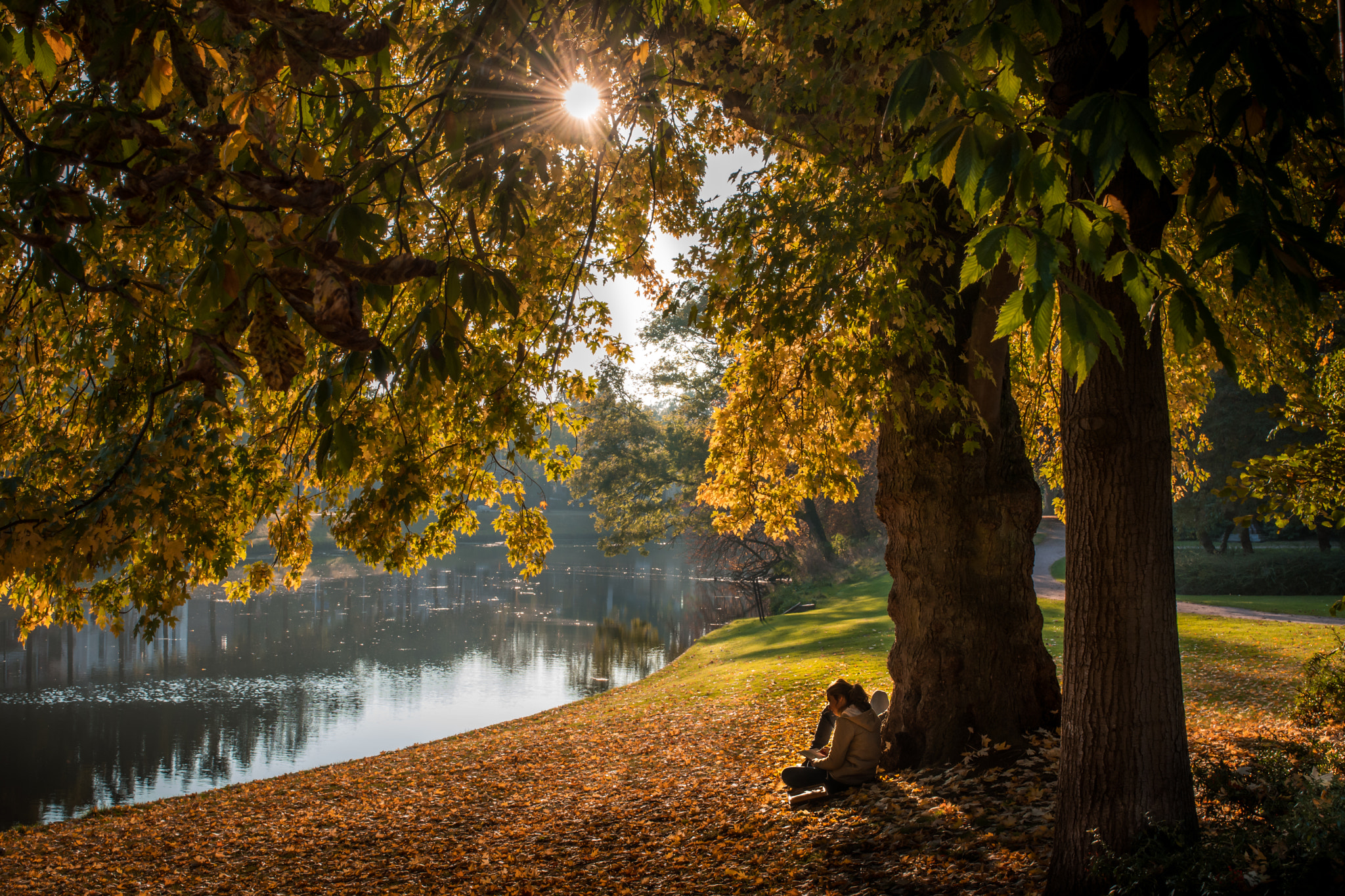 Nikon D500 sample photo. Enjoy the little thinks photography