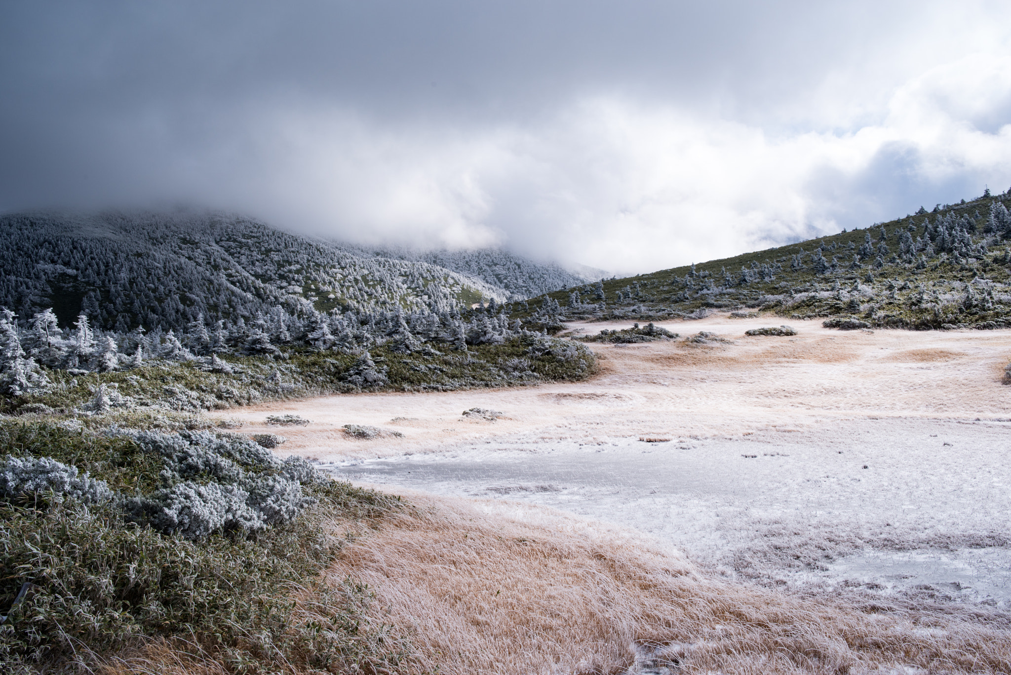 Pentax K-1 sample photo. Frozen world photography