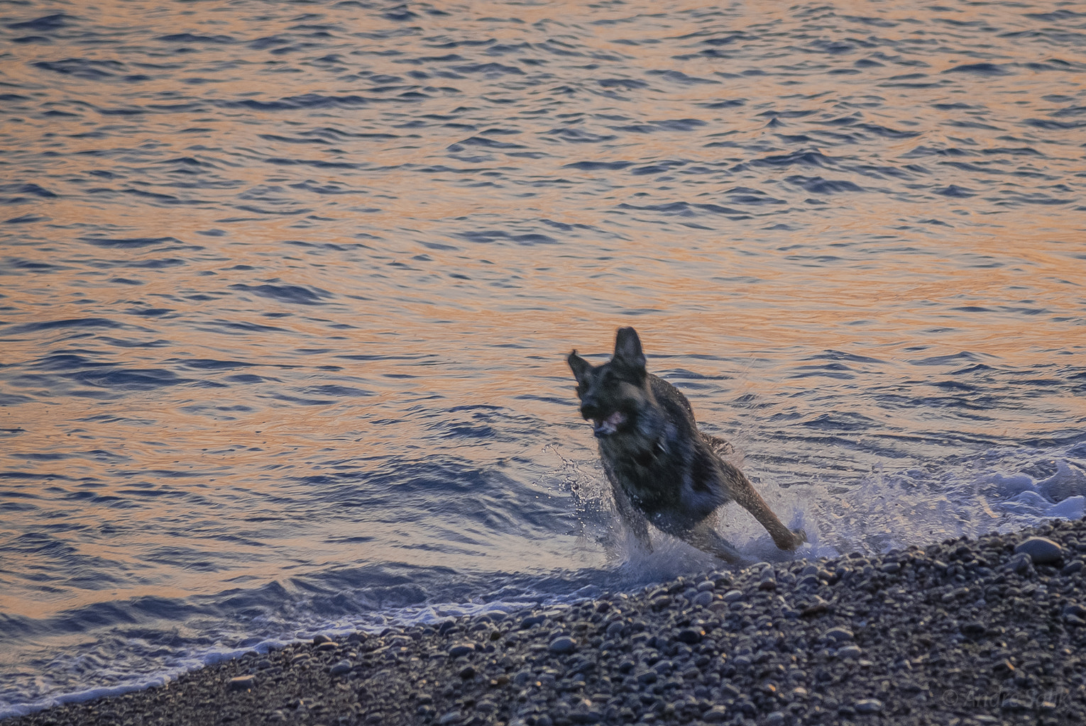 Nikon D60 sample photo. Sitges, catalunya, espanya photography