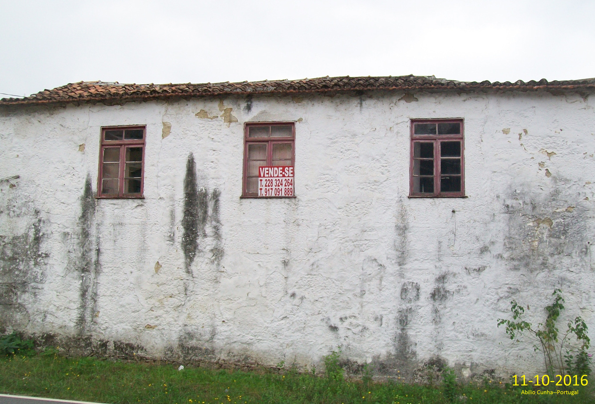 Kodak EasyShare C913 sample photo. Casa do povo ano 1950 photography